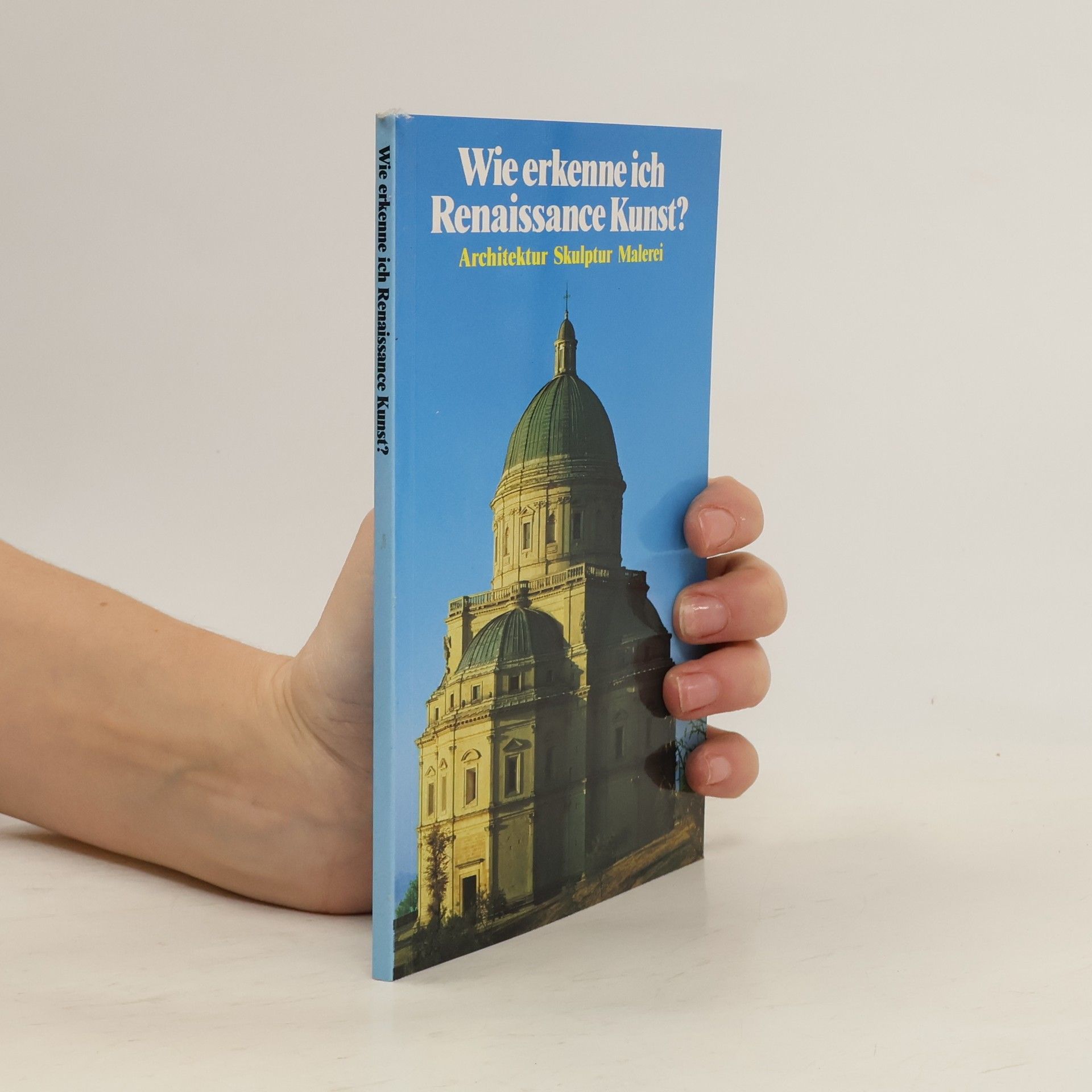 Autorenkollektiv Wie erkenne ich Renaissance Kunst?