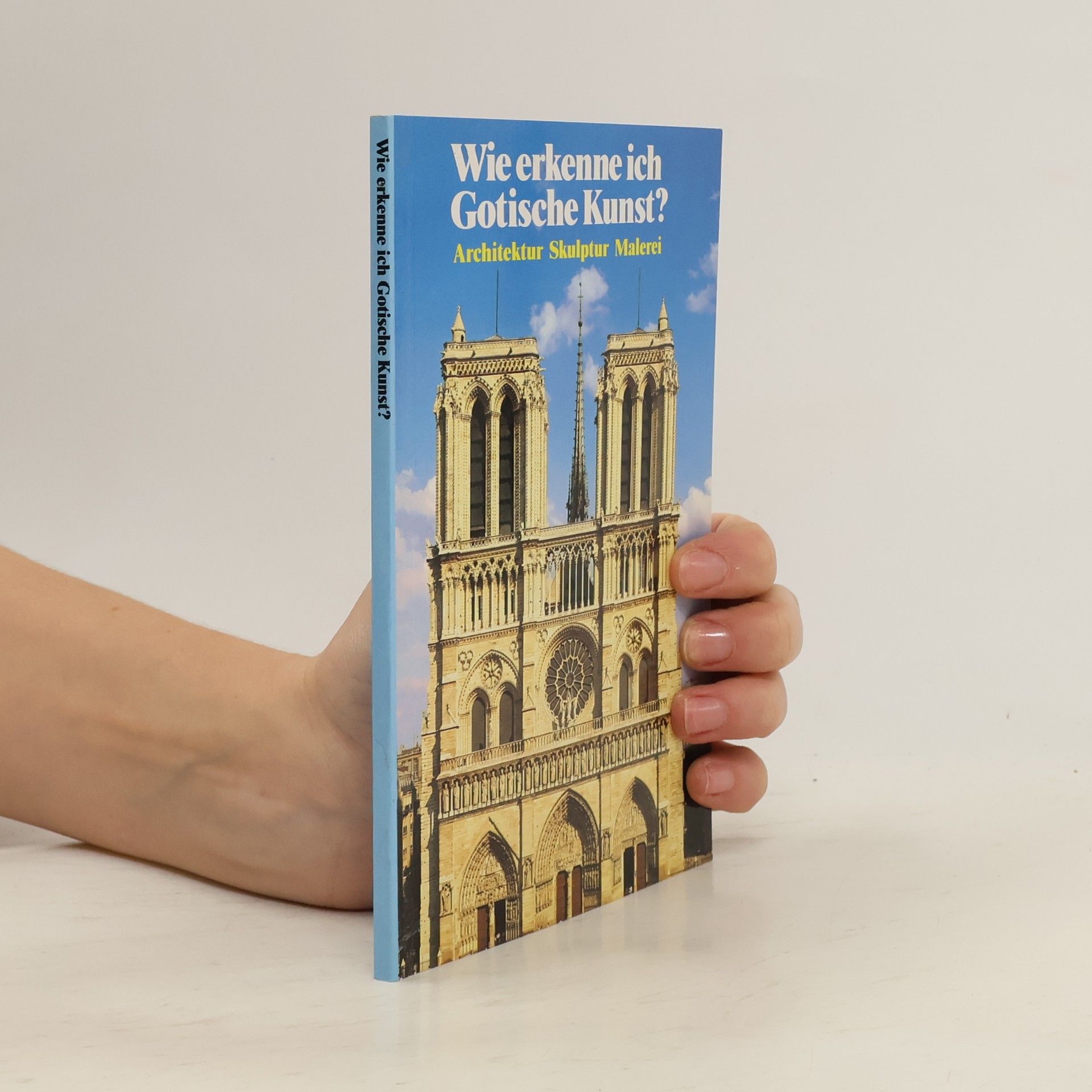 Autores varios Wie erkenne ich Gotische Kunst?