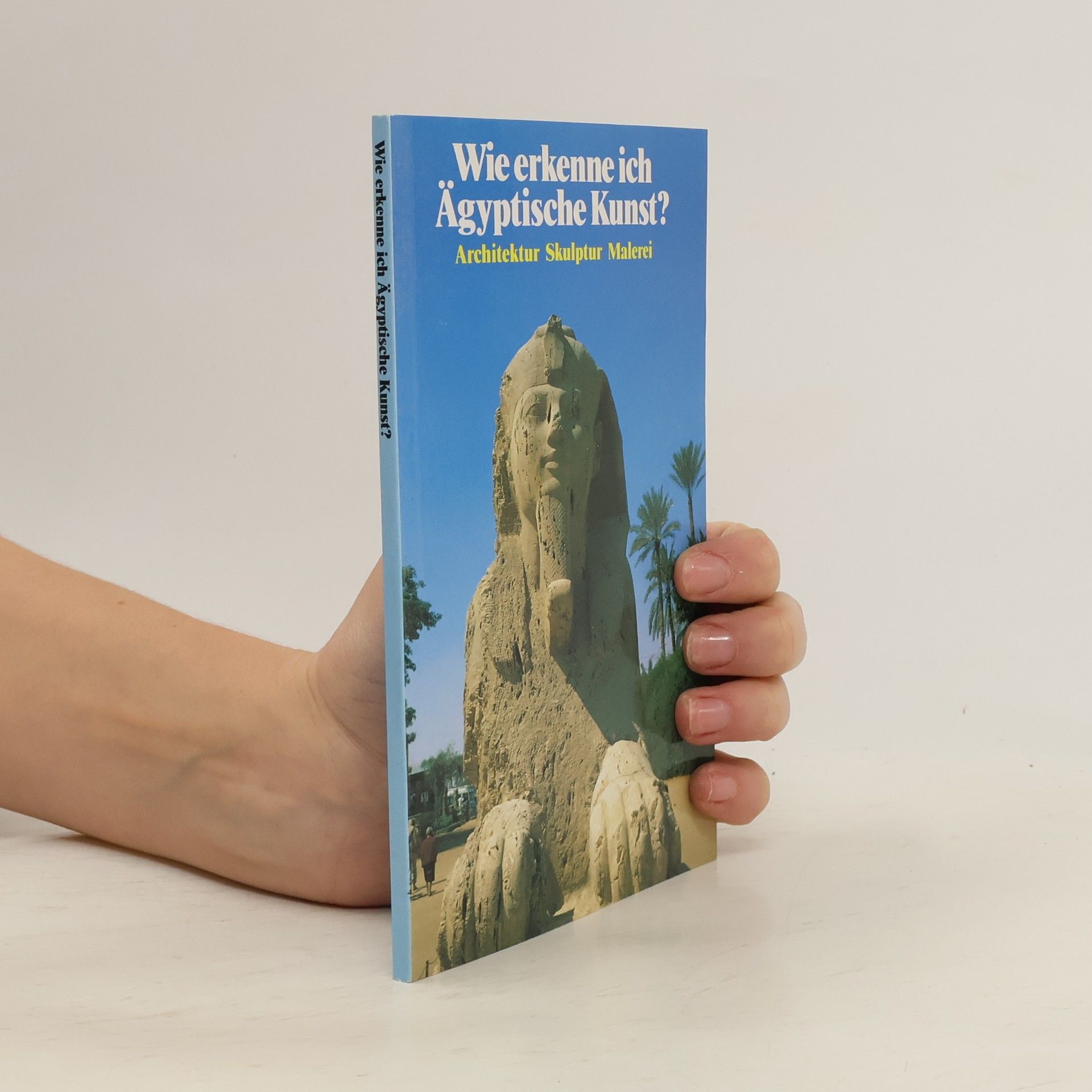 Autorenkollektiv Wie erkenne ich Ägyptische Kunst?