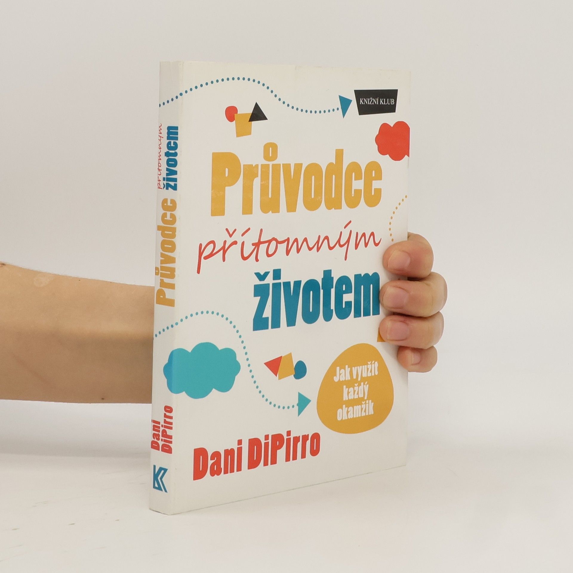 Dani DiPirro Průvodce přítomným životem: Jak využít každý okamžik