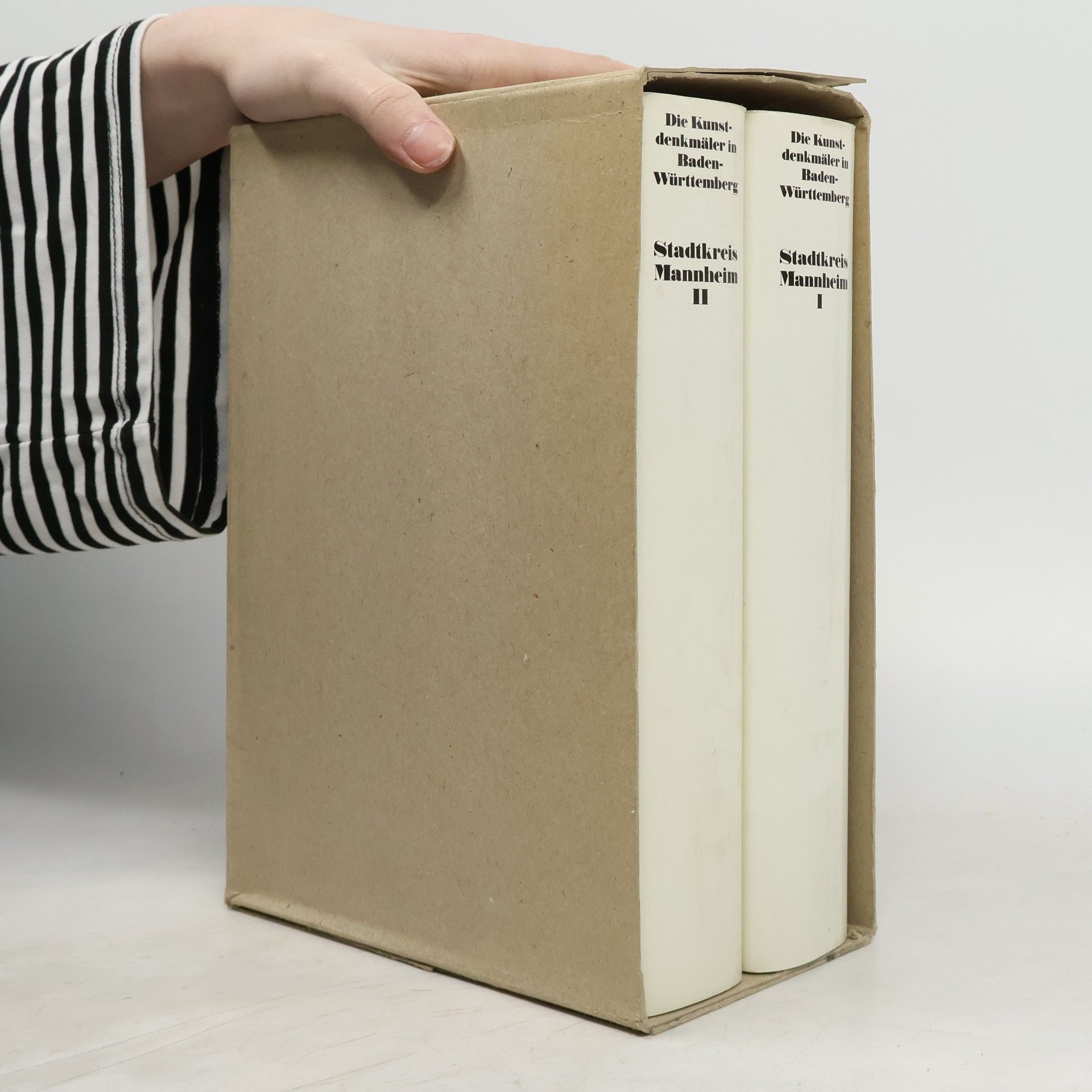 Kolektív autorov Die Kunstdenkmäler in Baden-Württemberg