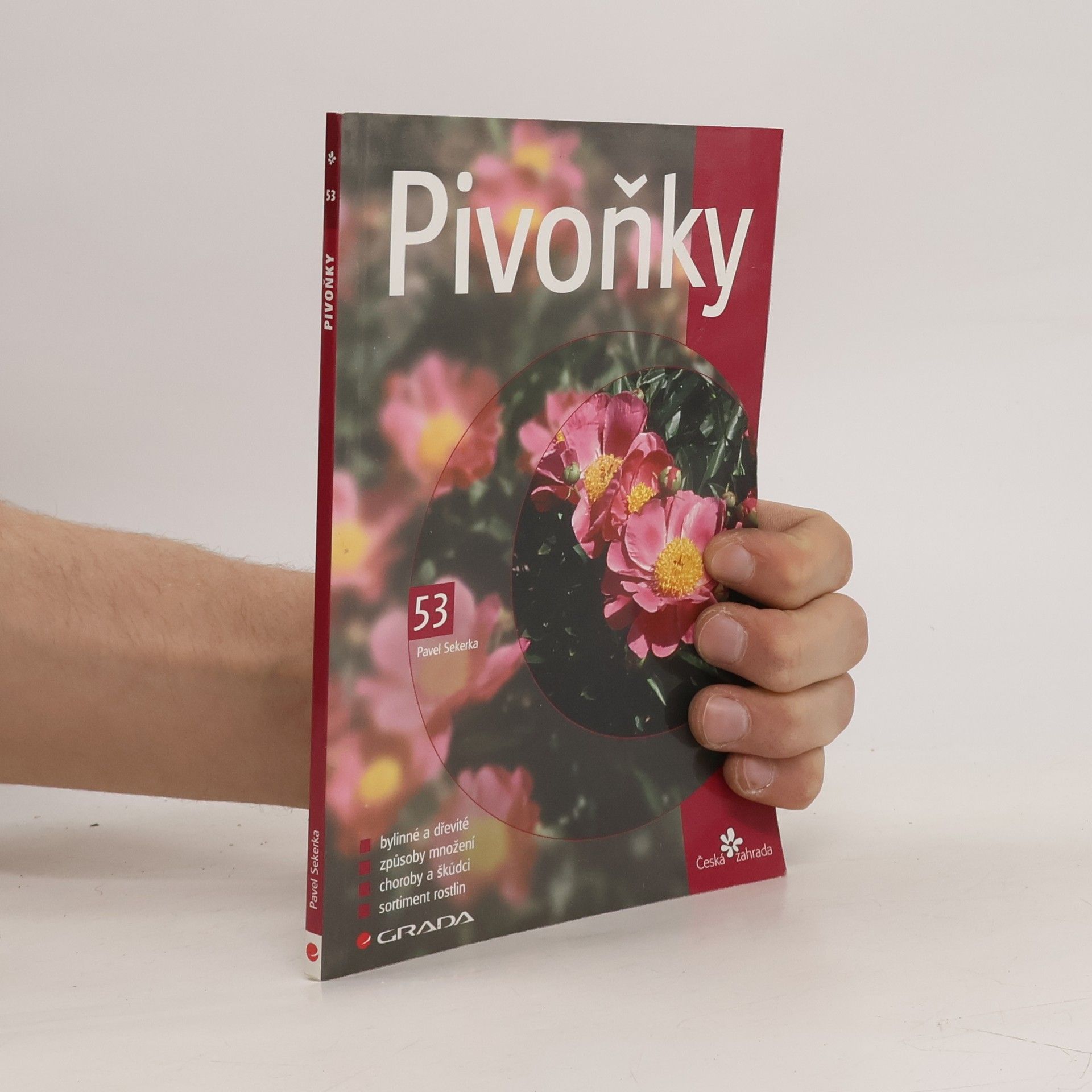 Pavel Sekerka Pivoňky