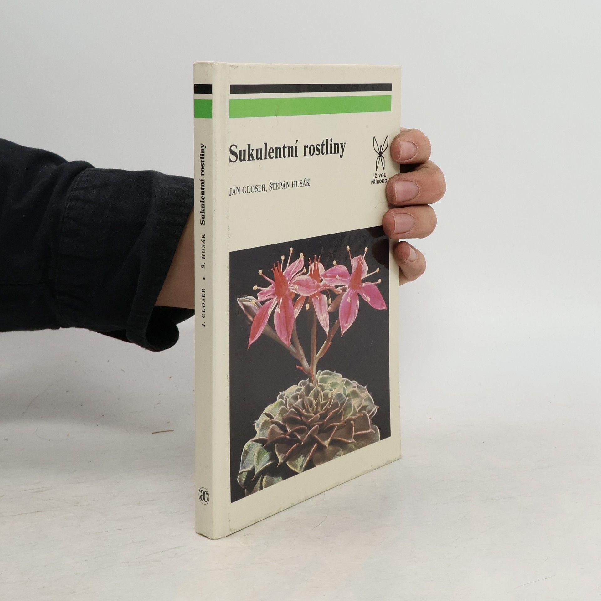 Sukulentní rostliny