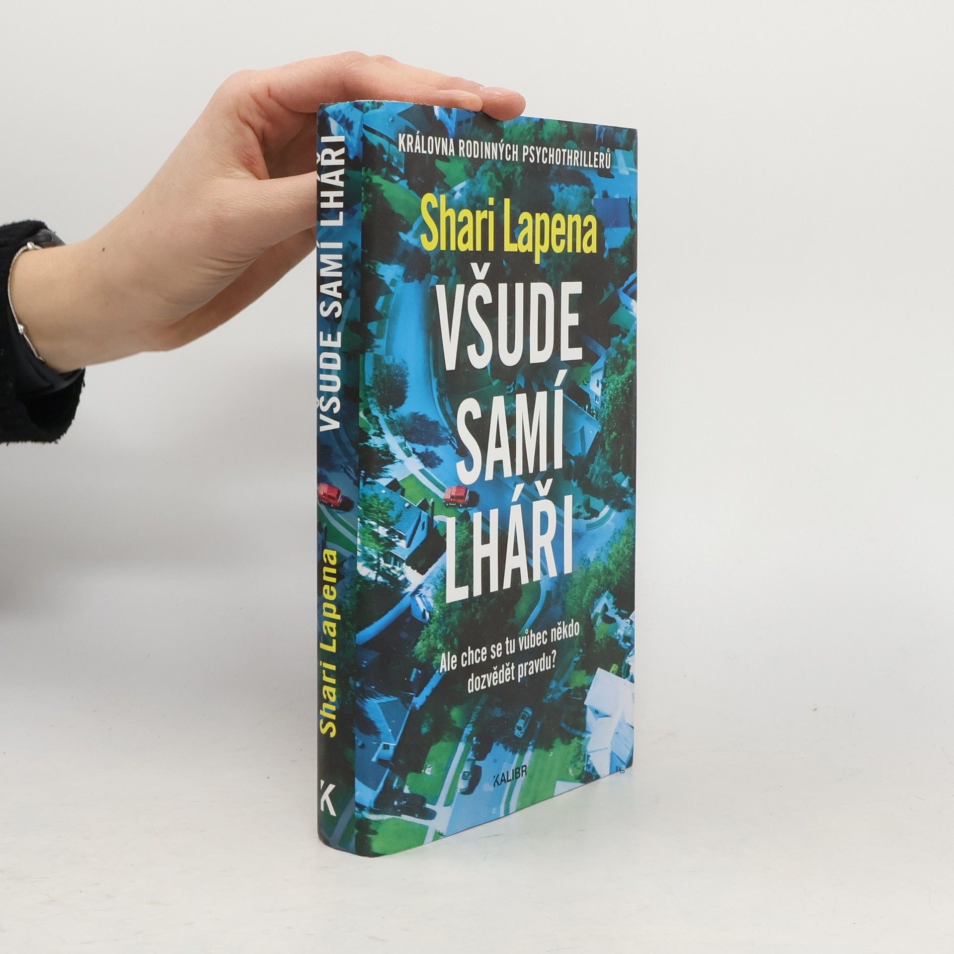 Shari Lapena Všude samí lháři