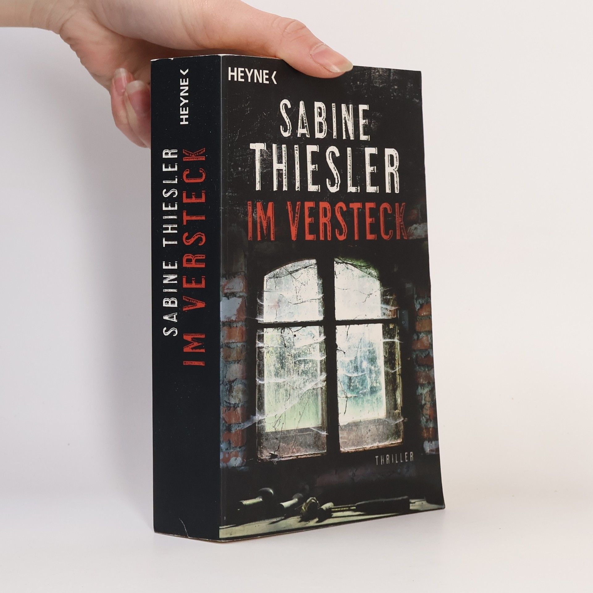 Sabine Thiesler Im Versteck