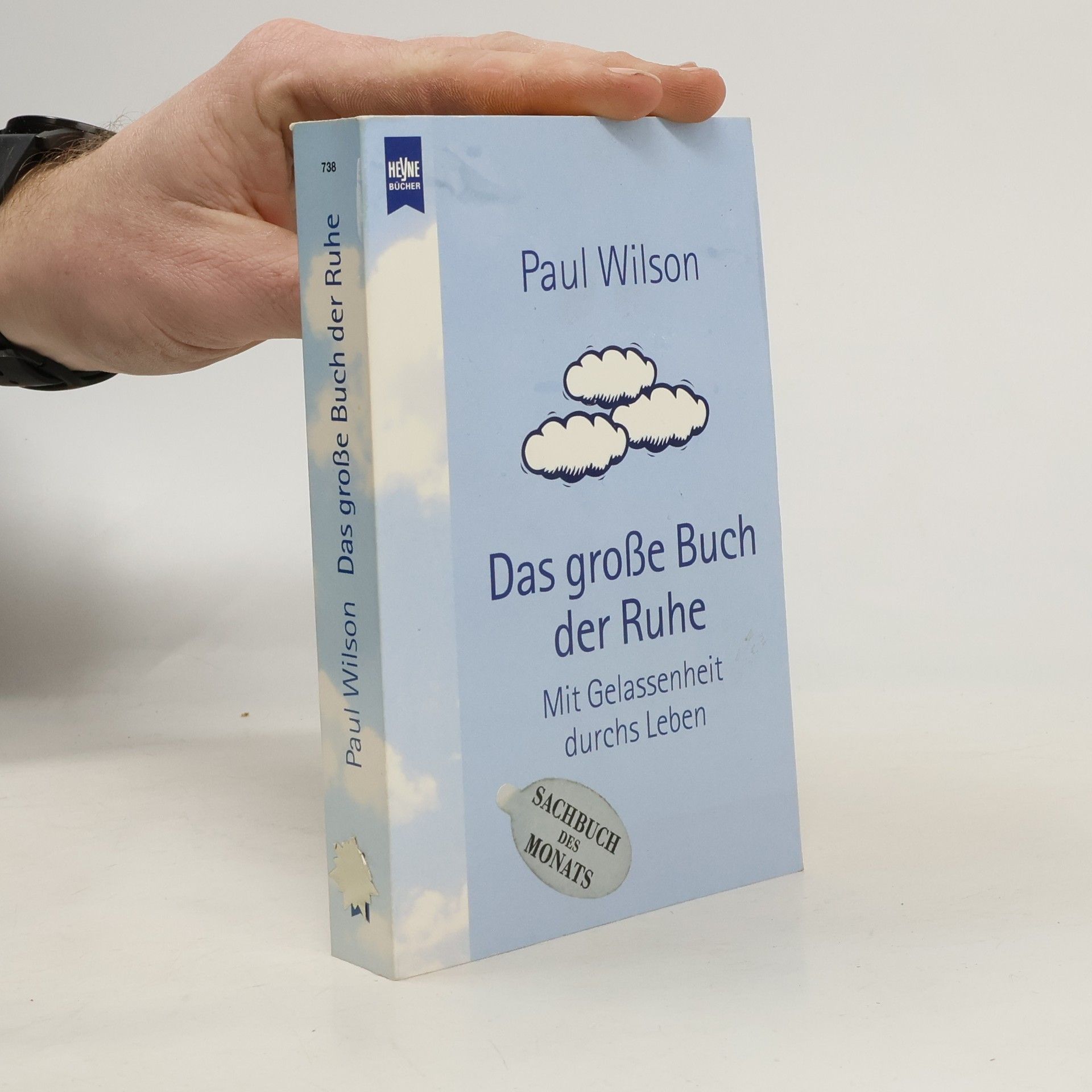 Paul Wilson Das große Buch der Ruhe