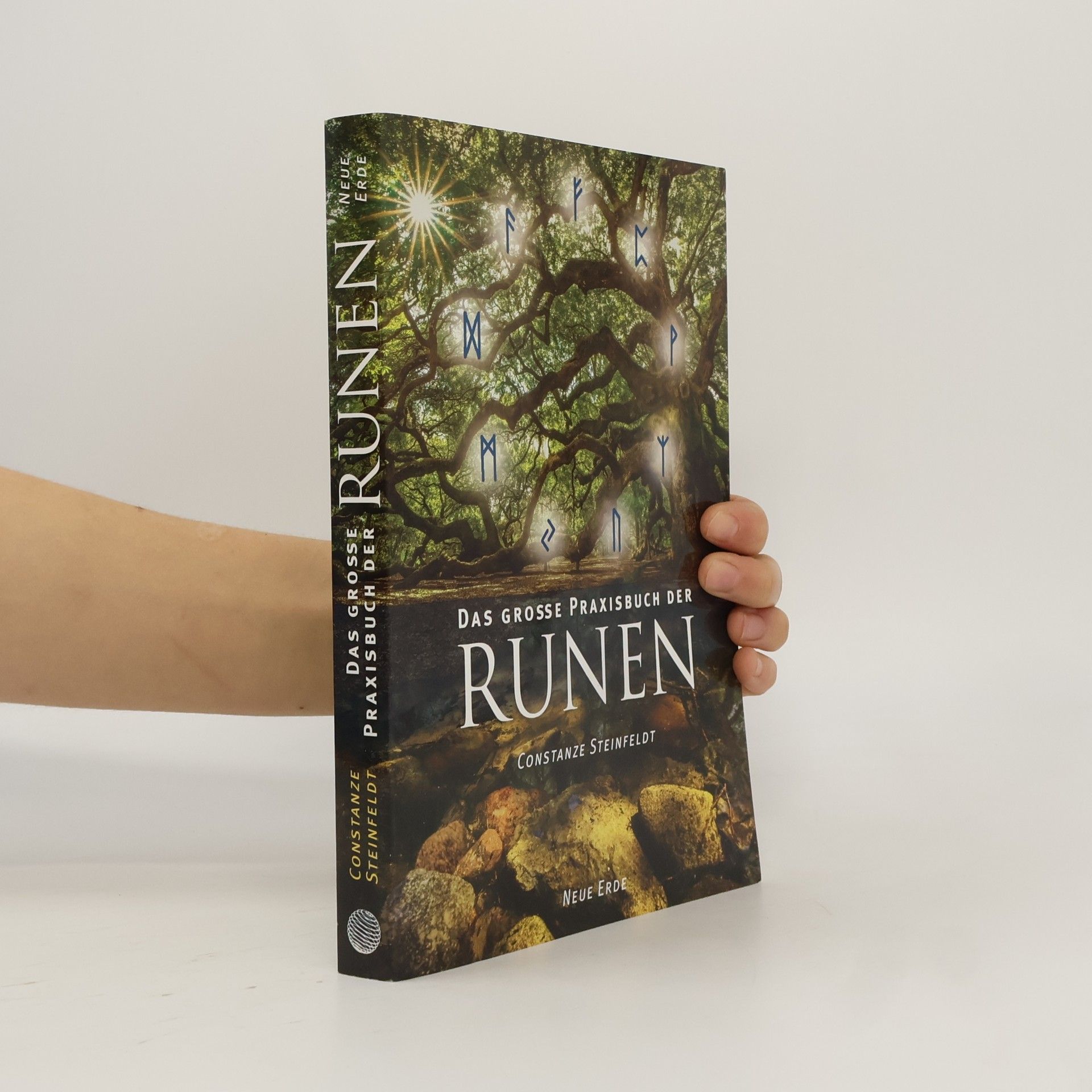 Constanze Steinfeldt Das große Praxisbuch der Runen