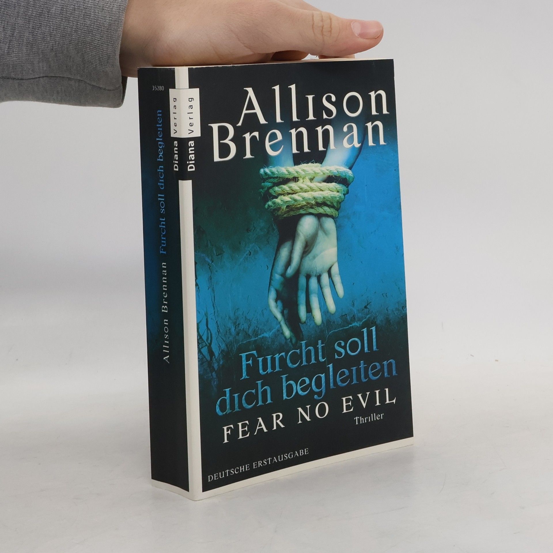 Allison Brennan Furcht soll dich begleiten