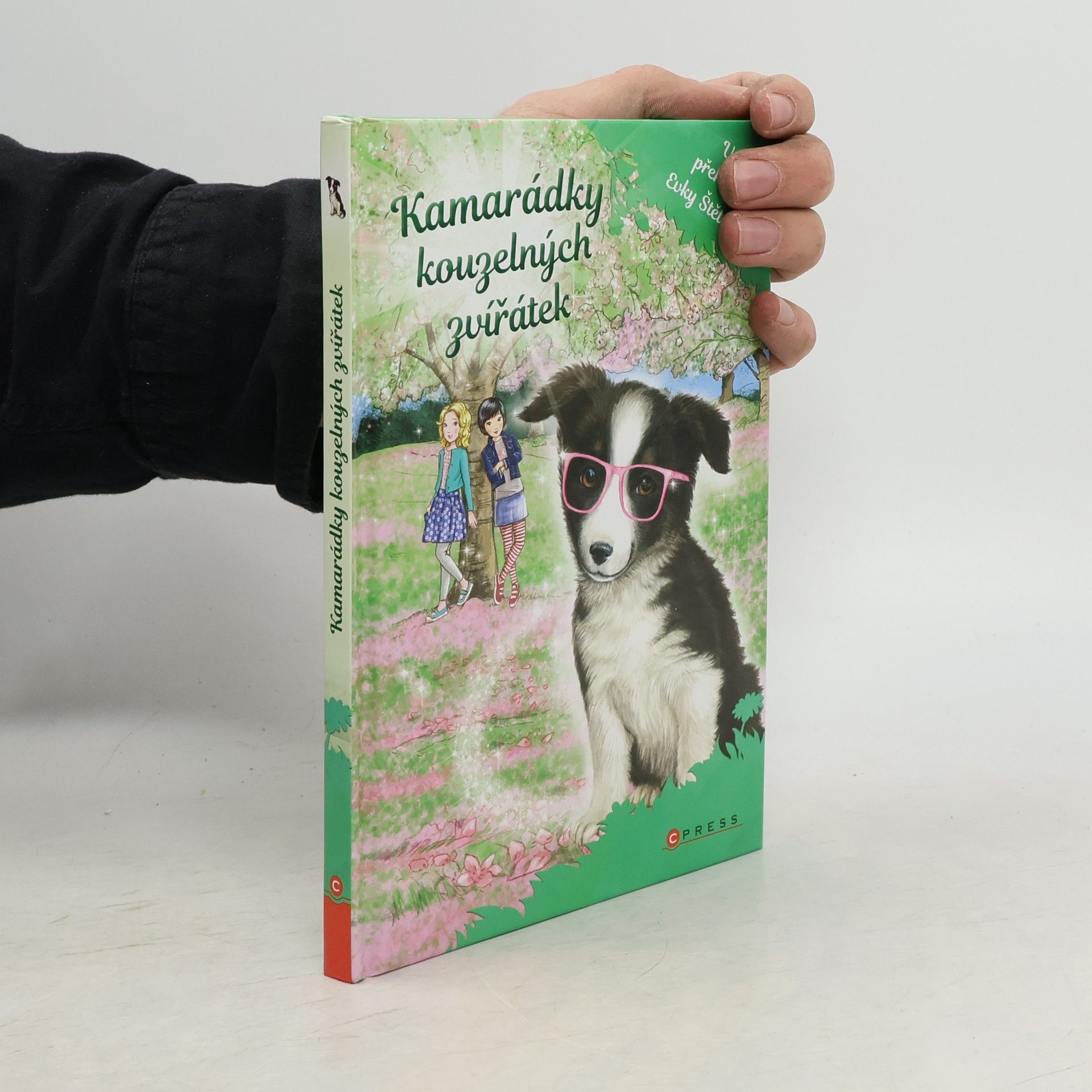 Daisy Meadows Velké překvapení Evky Štětinkové. Kamarádky kouzelných zvířátek