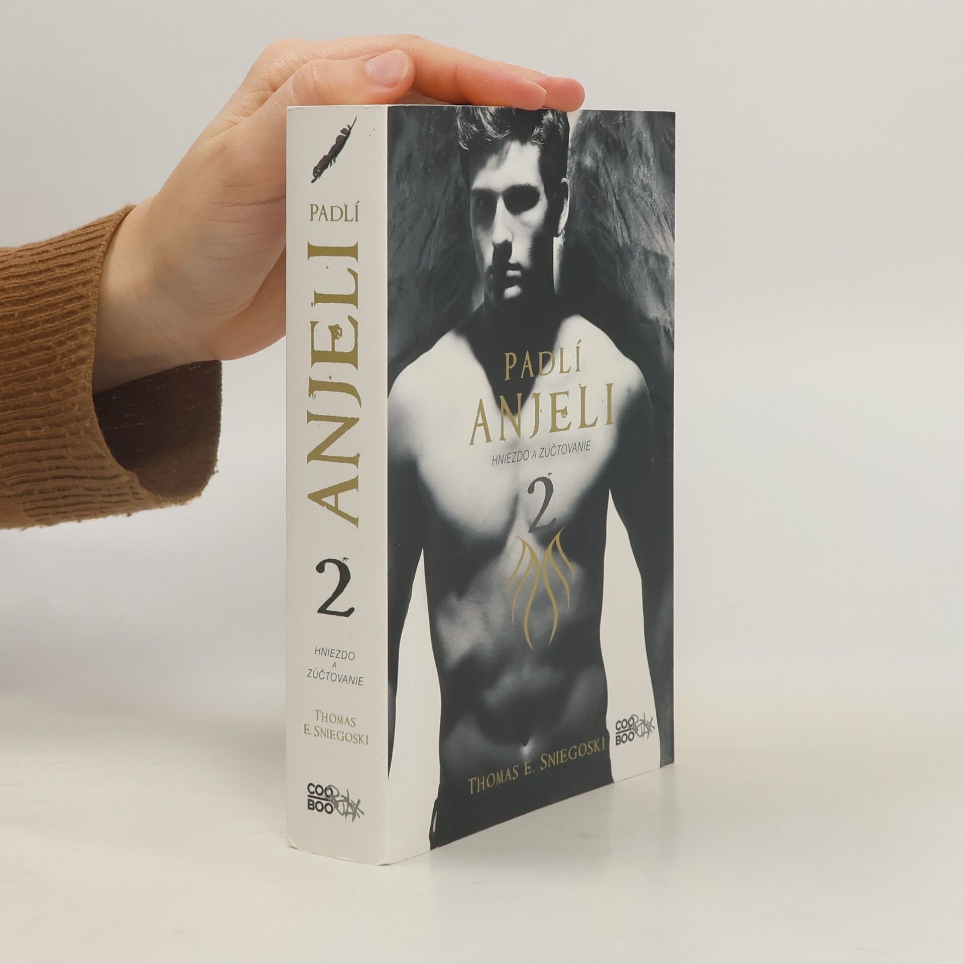 Thomas E. Sniegoski Padlí anjeli 2: Hniezdo a zúčtovanie