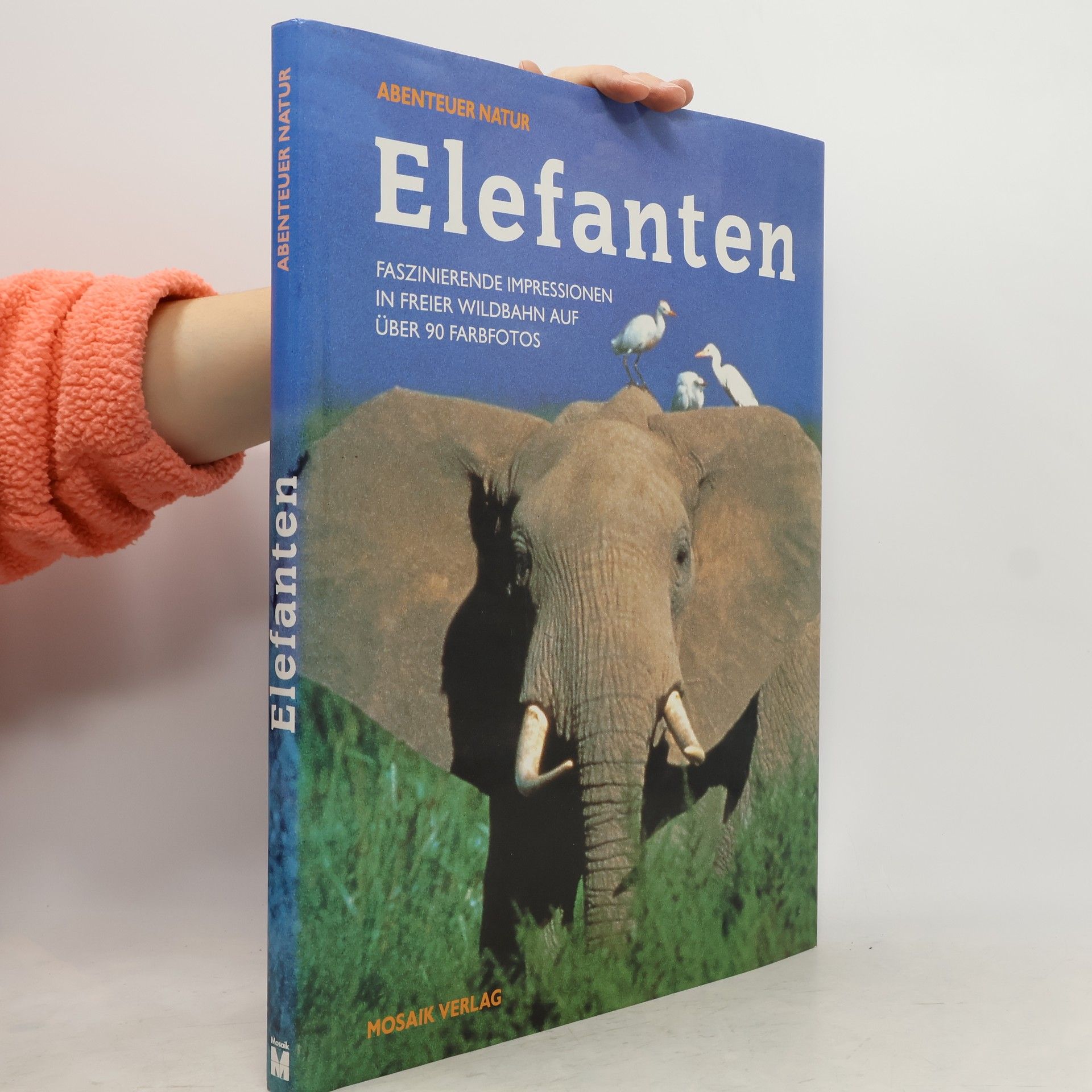 Christine Denis-Huot Elefanten