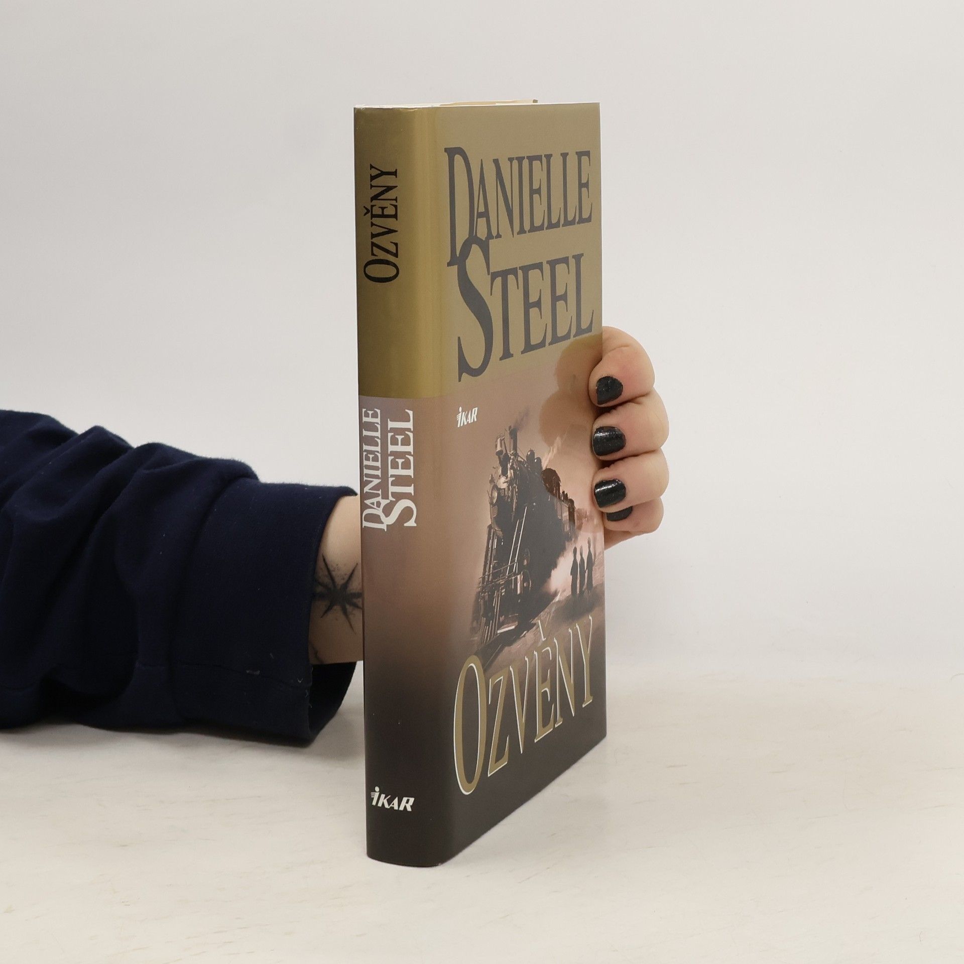 Danielle Steel Ozvěny