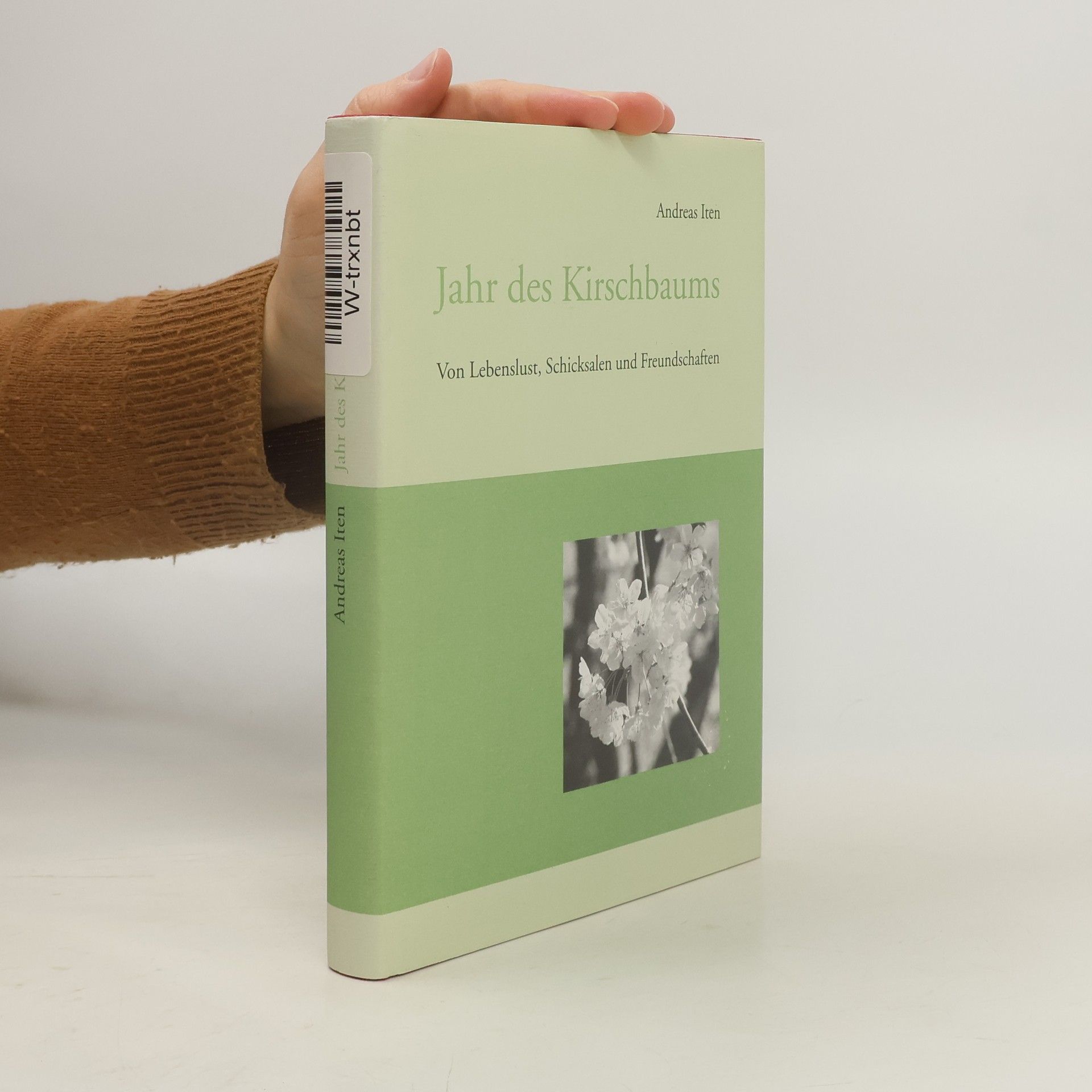 Andreas Iren Jahr des Kirschbaums