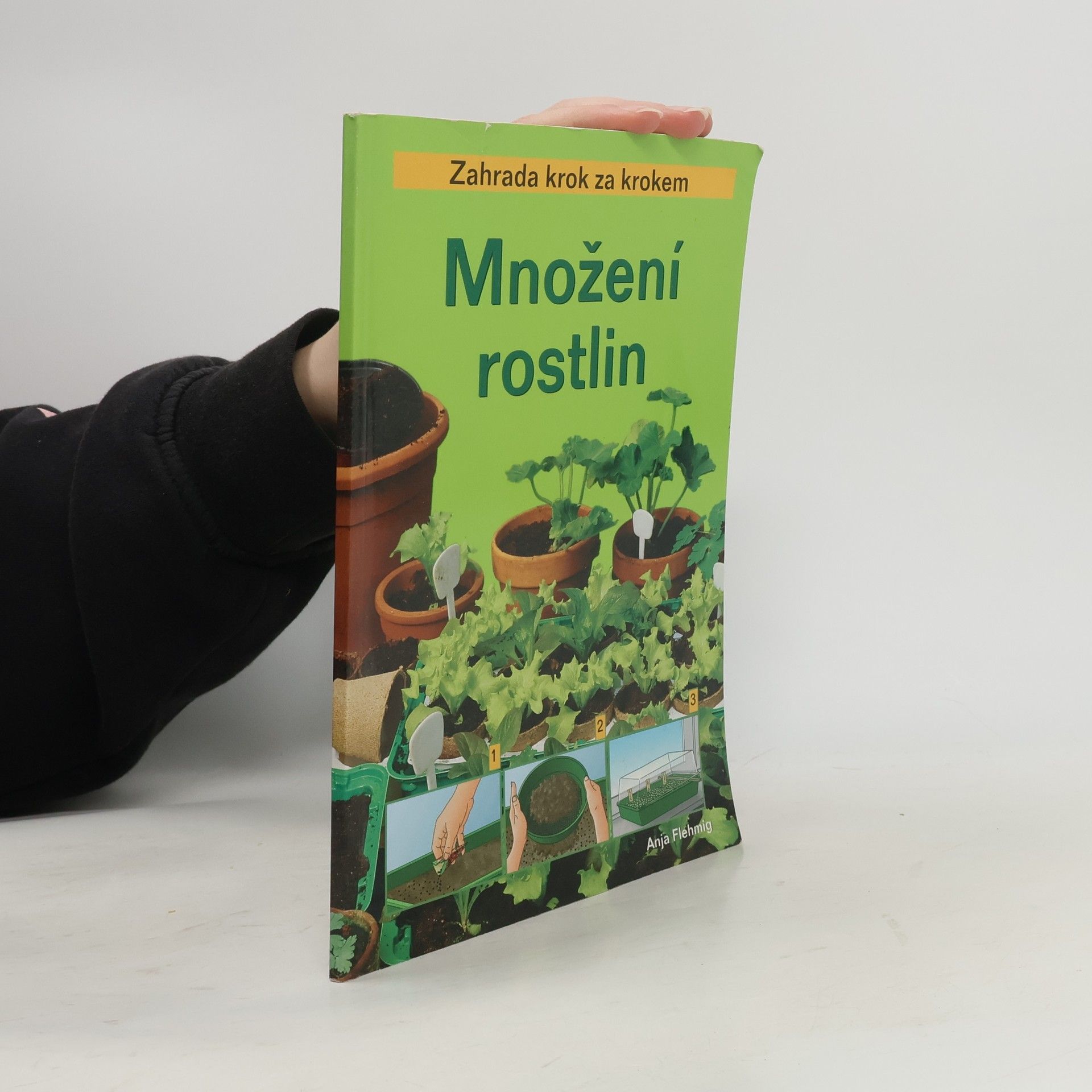 Anja Flehming Množení rostlin