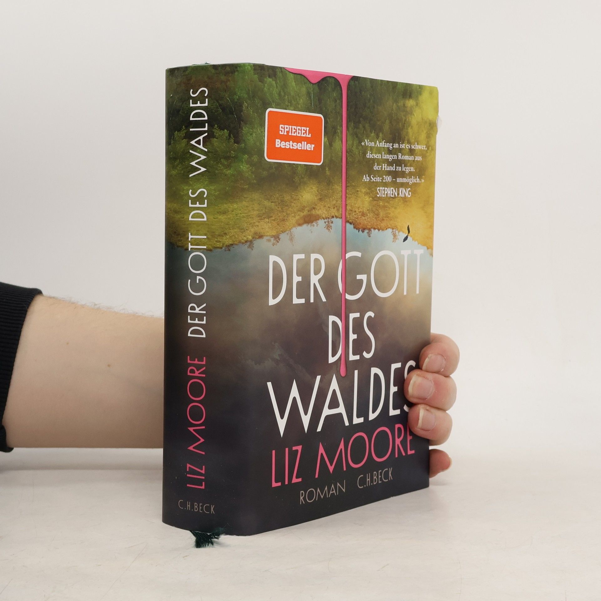 Liz Moore Der Gott des Waldes