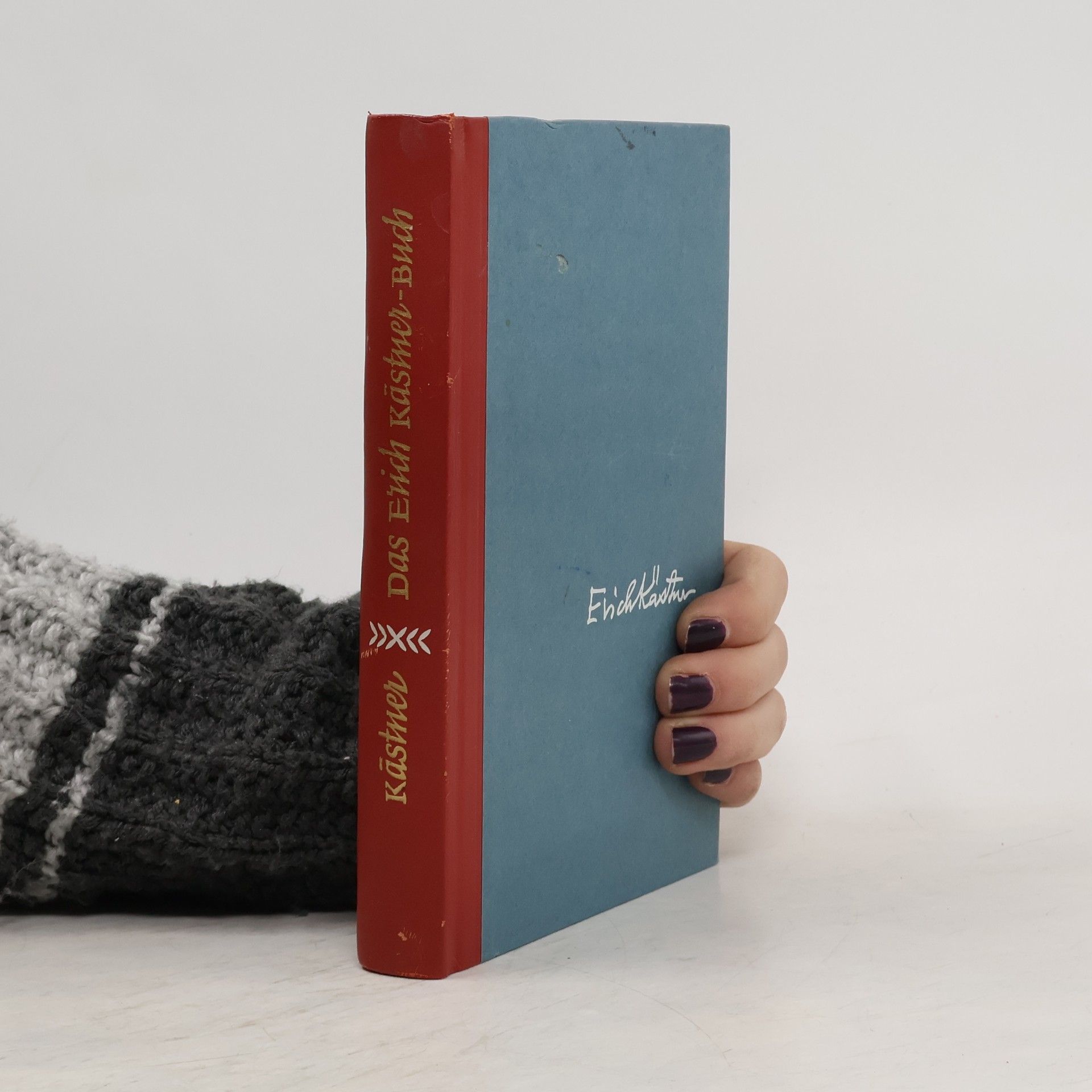 Das Erich Kästner-Buch