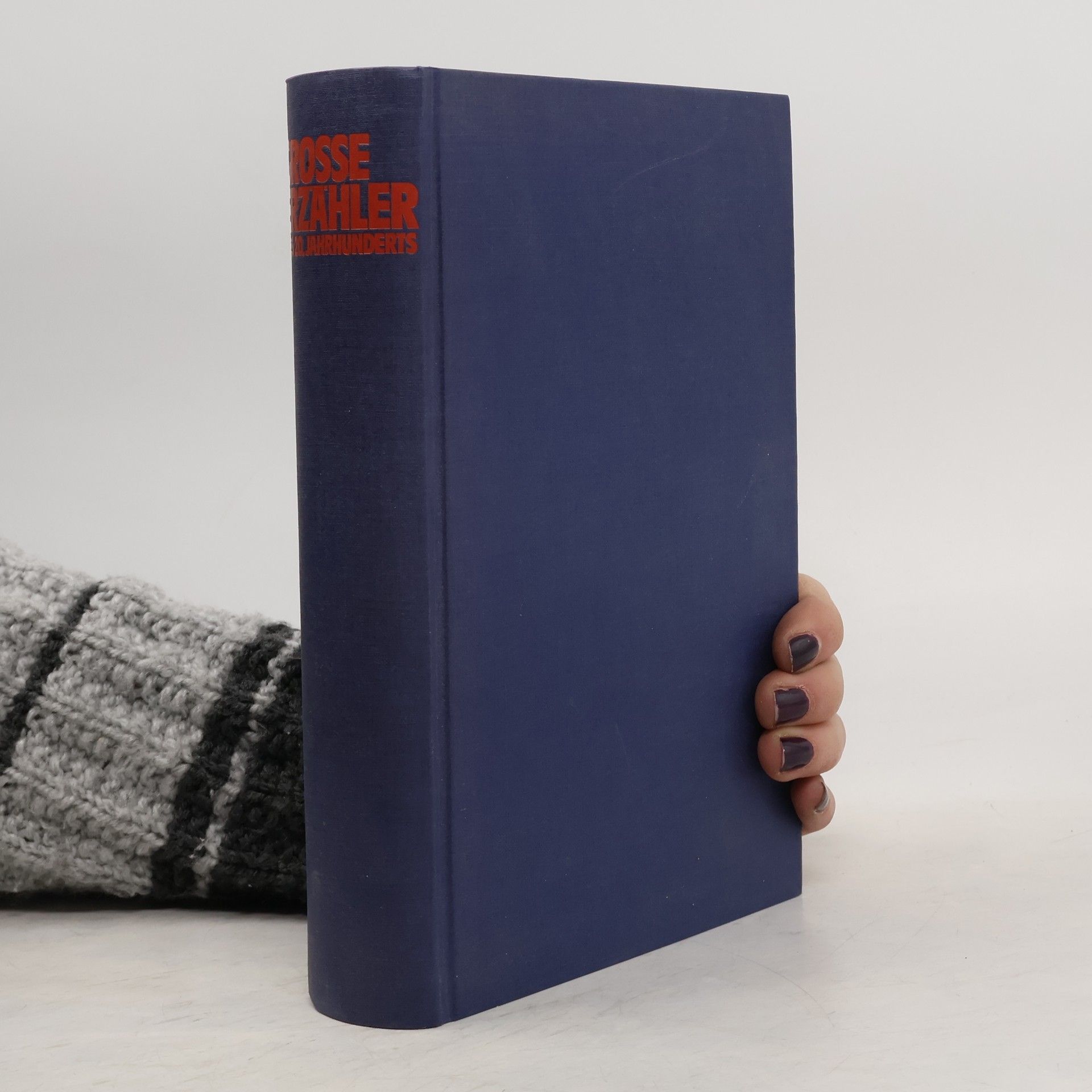 Kolektiv autorů Grosse Erzähler des 20. Jahrhunderts