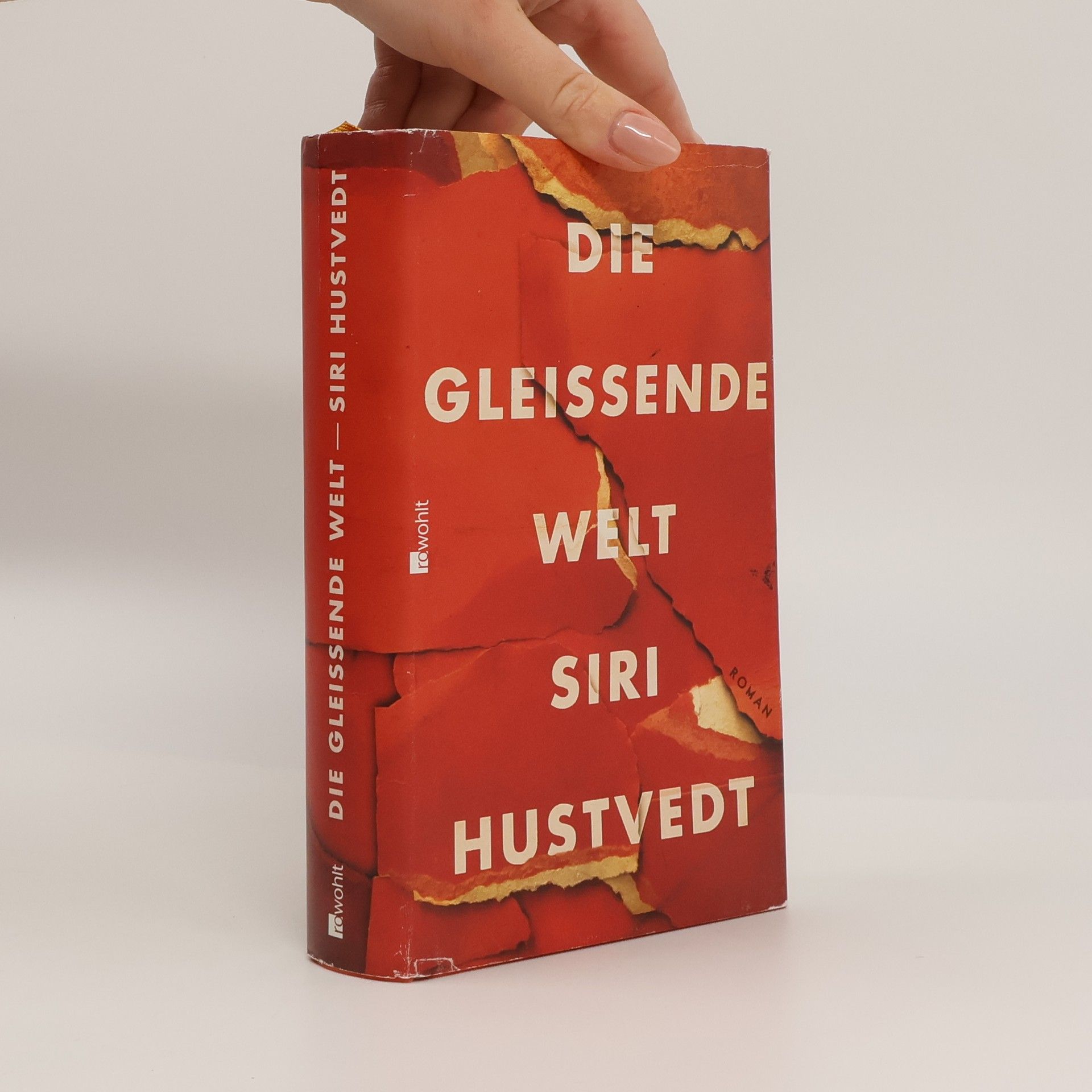 Siri Hustvedt Die gleissende Welt