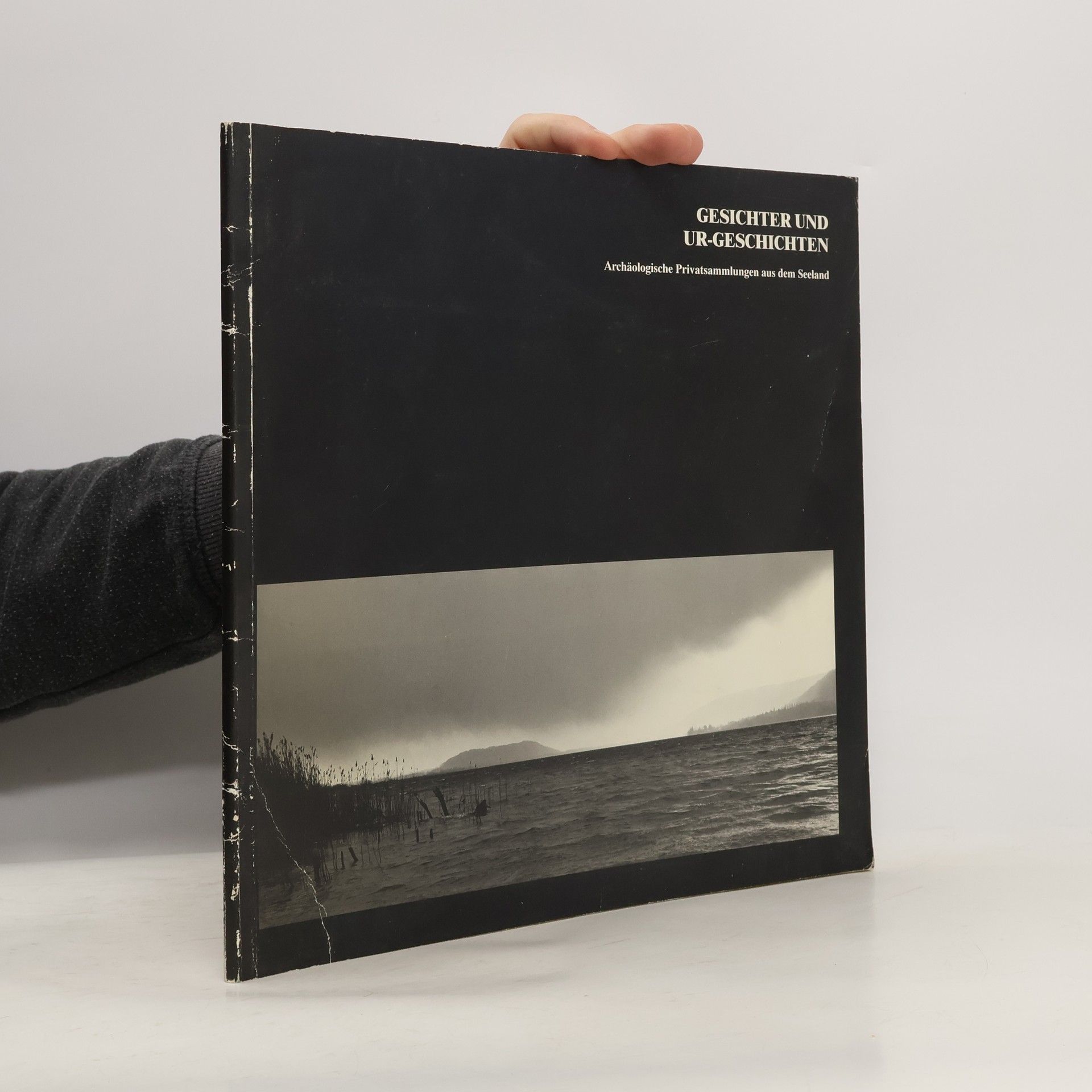 Heini Stucki Gesichter und Ur-Geschichten: Archäologische Privatsammlungen aus dem Seeland