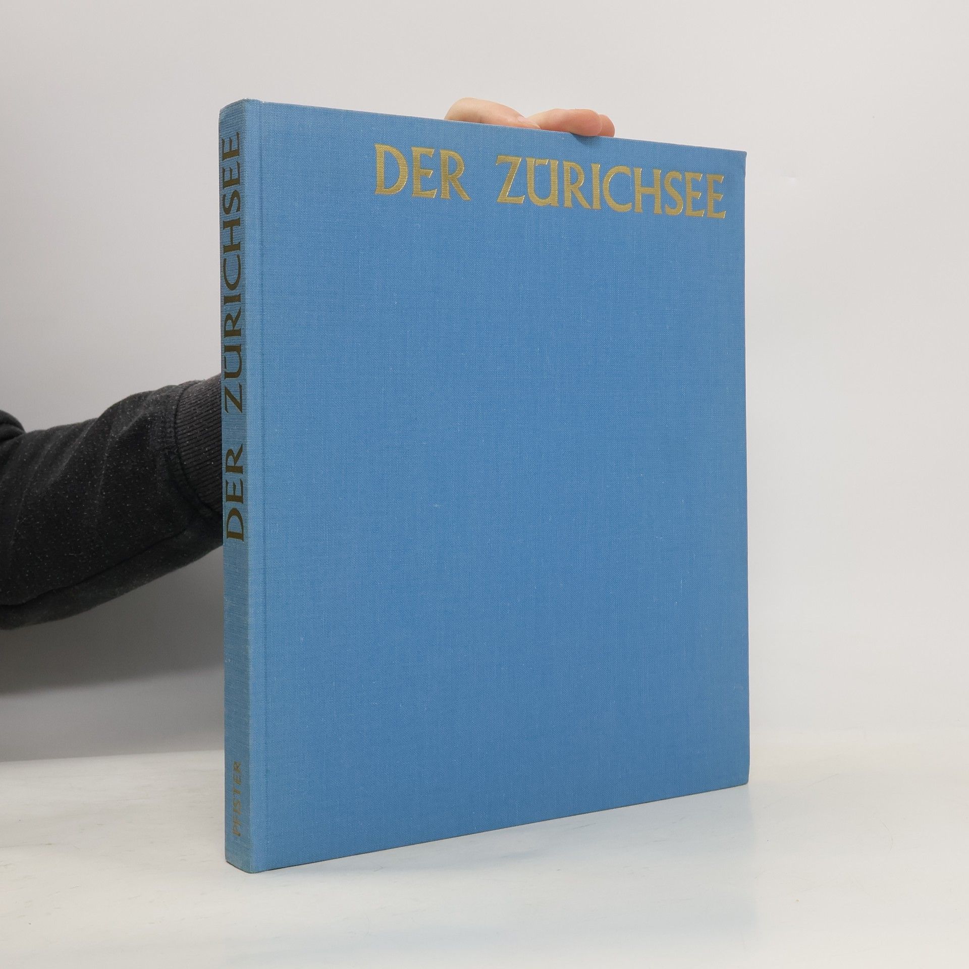 Max Pfister Der Zürichsee