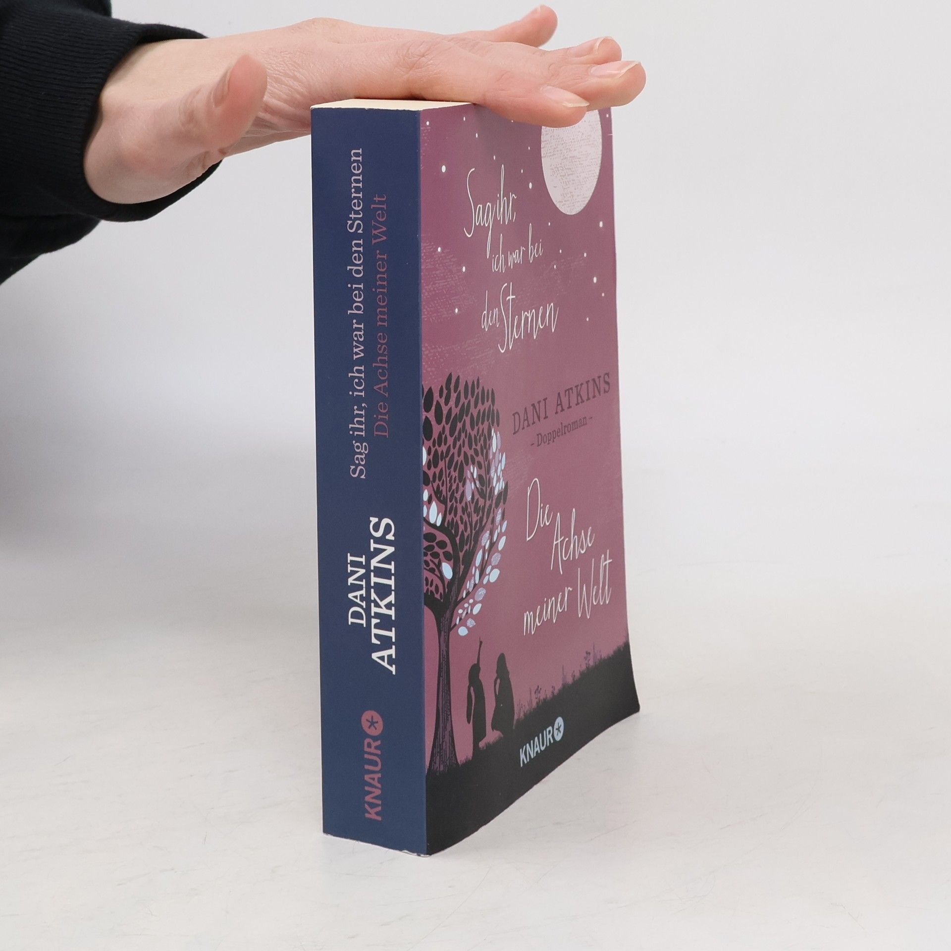 Dani Atkins Sag ihr, ich war bei den Sternen und Die Achse meiner Welt