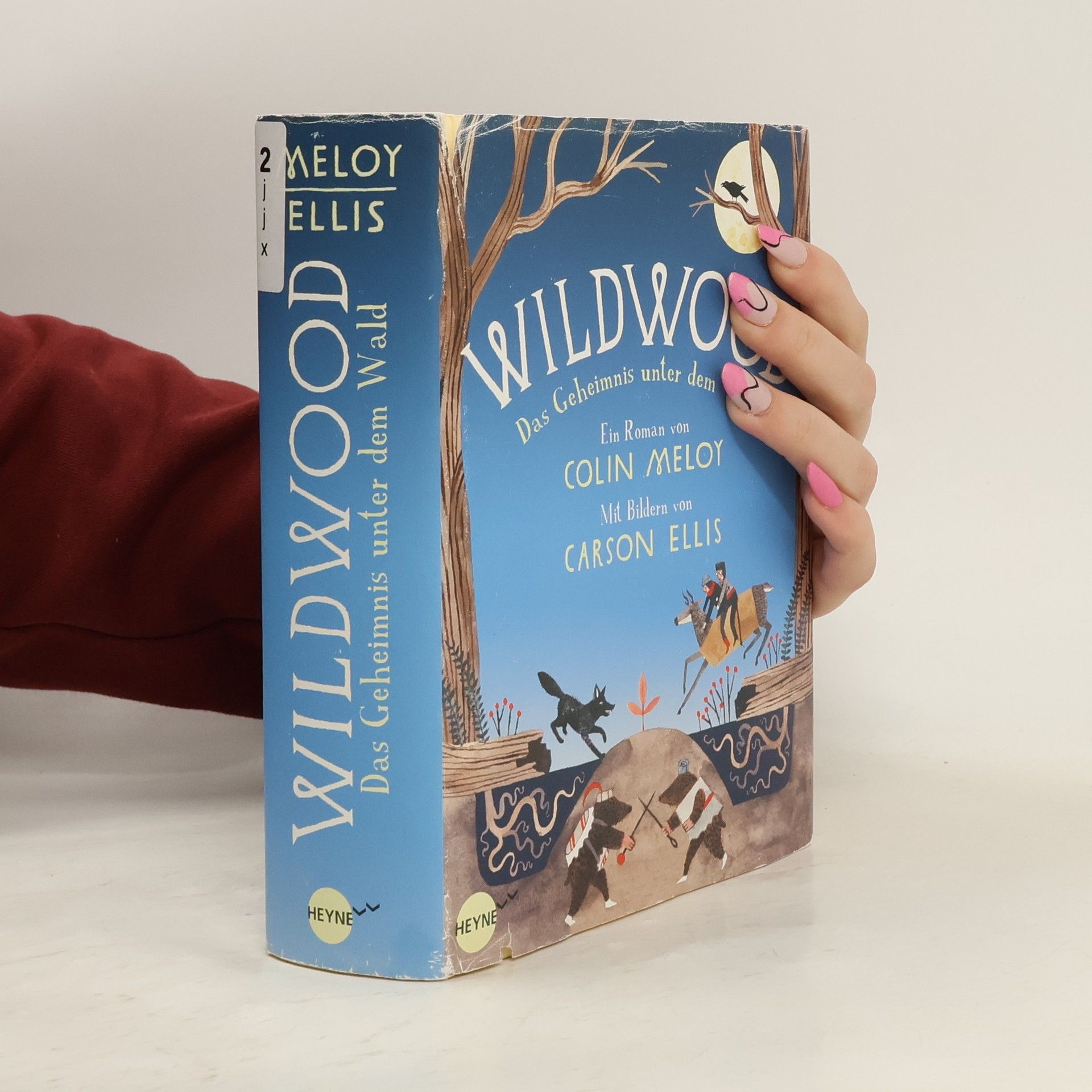 Colin Meloy Wildwood - das Geheimnis unter dem Wald