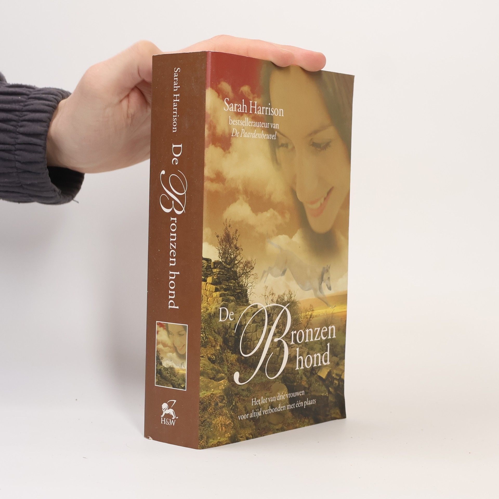 Sarah Harrison De bronzen hond