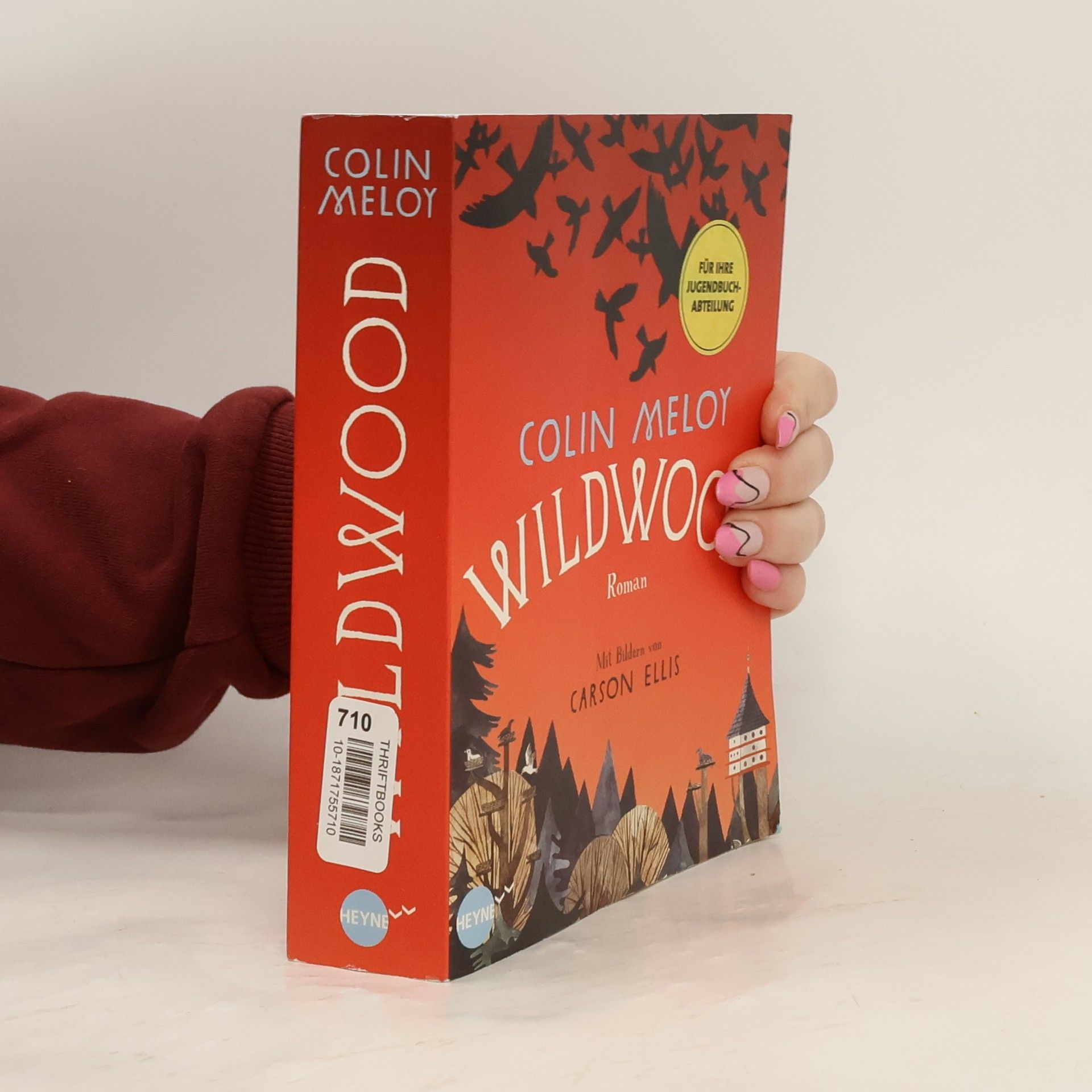 Colin Meloy Wildwood