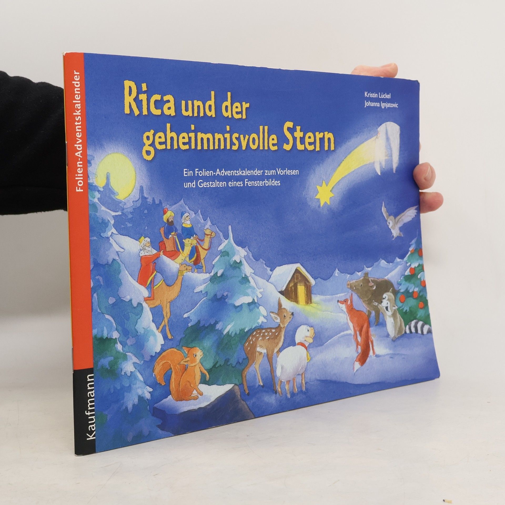 Kristin Lückel Rica und der geheimnisvolle Stern