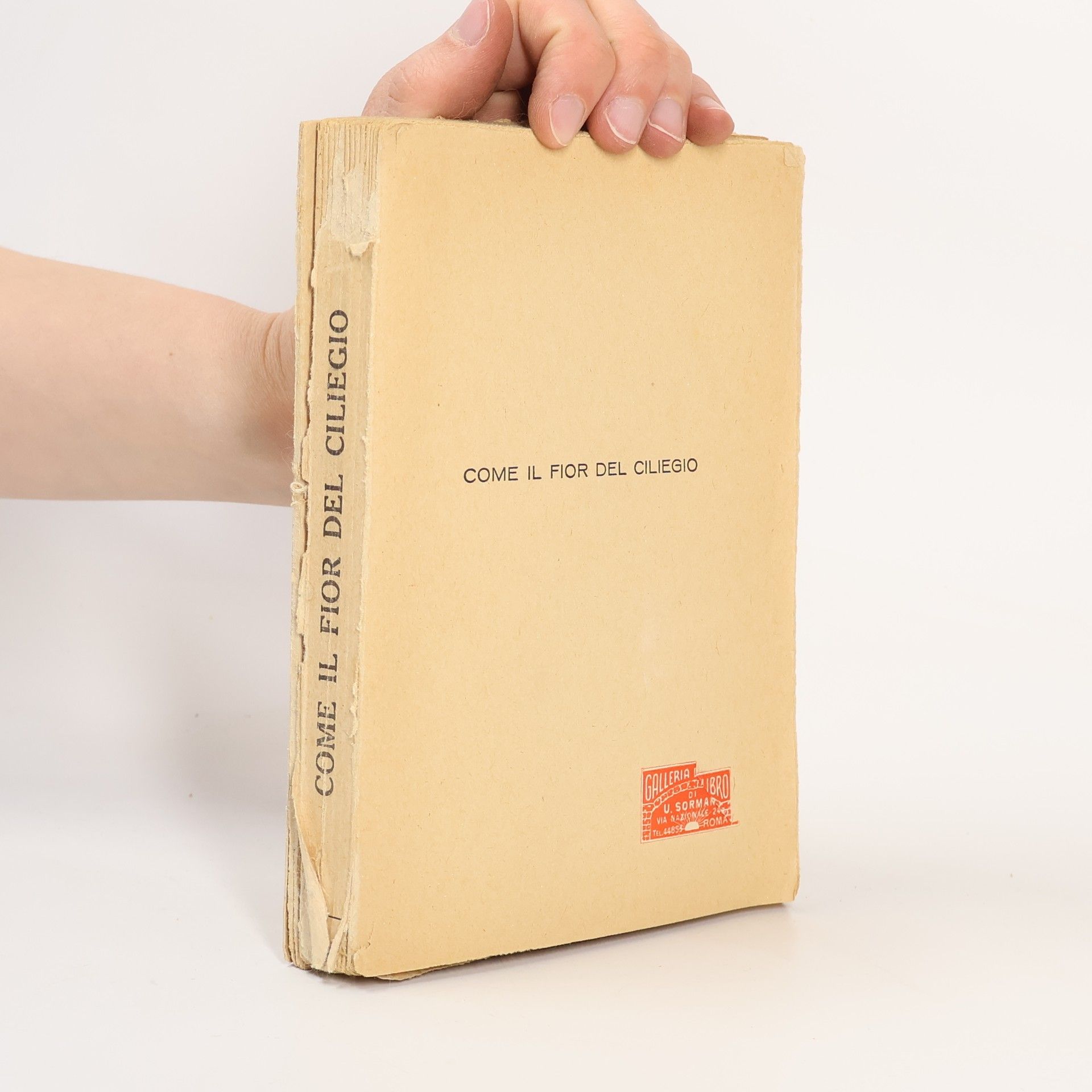 T. Myu Come il fior del ciliegio