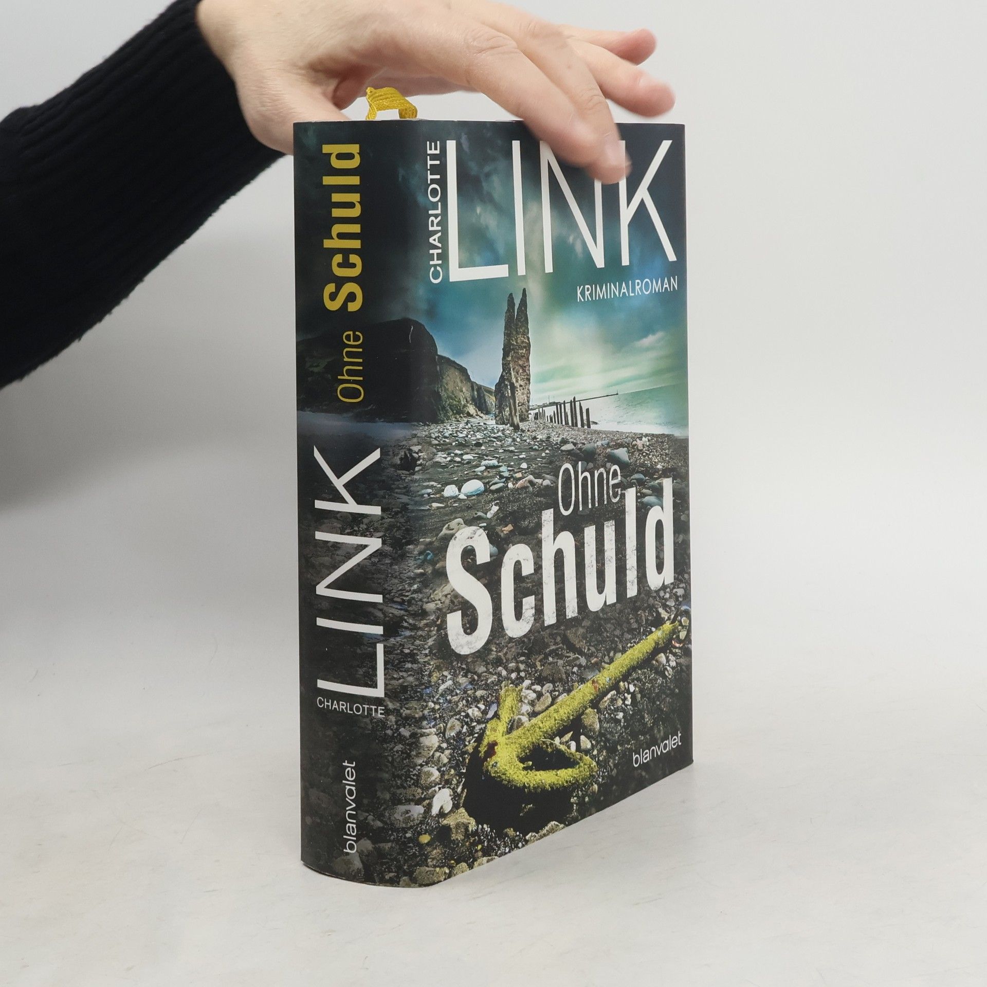 Charlotte Link Ohne Schuld