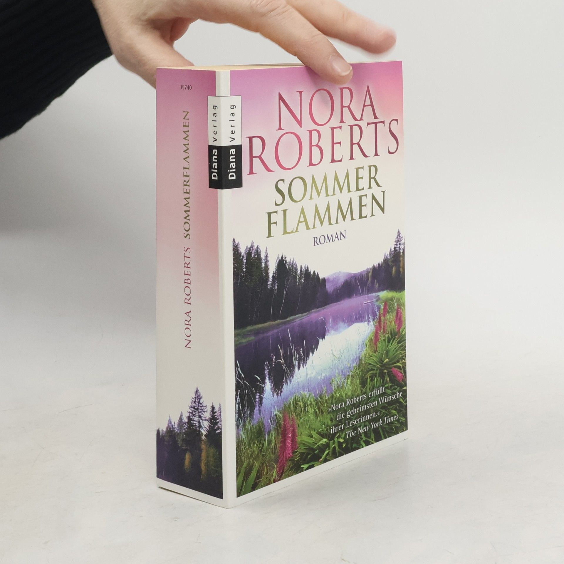 Nora Roberts Sommer Flammen