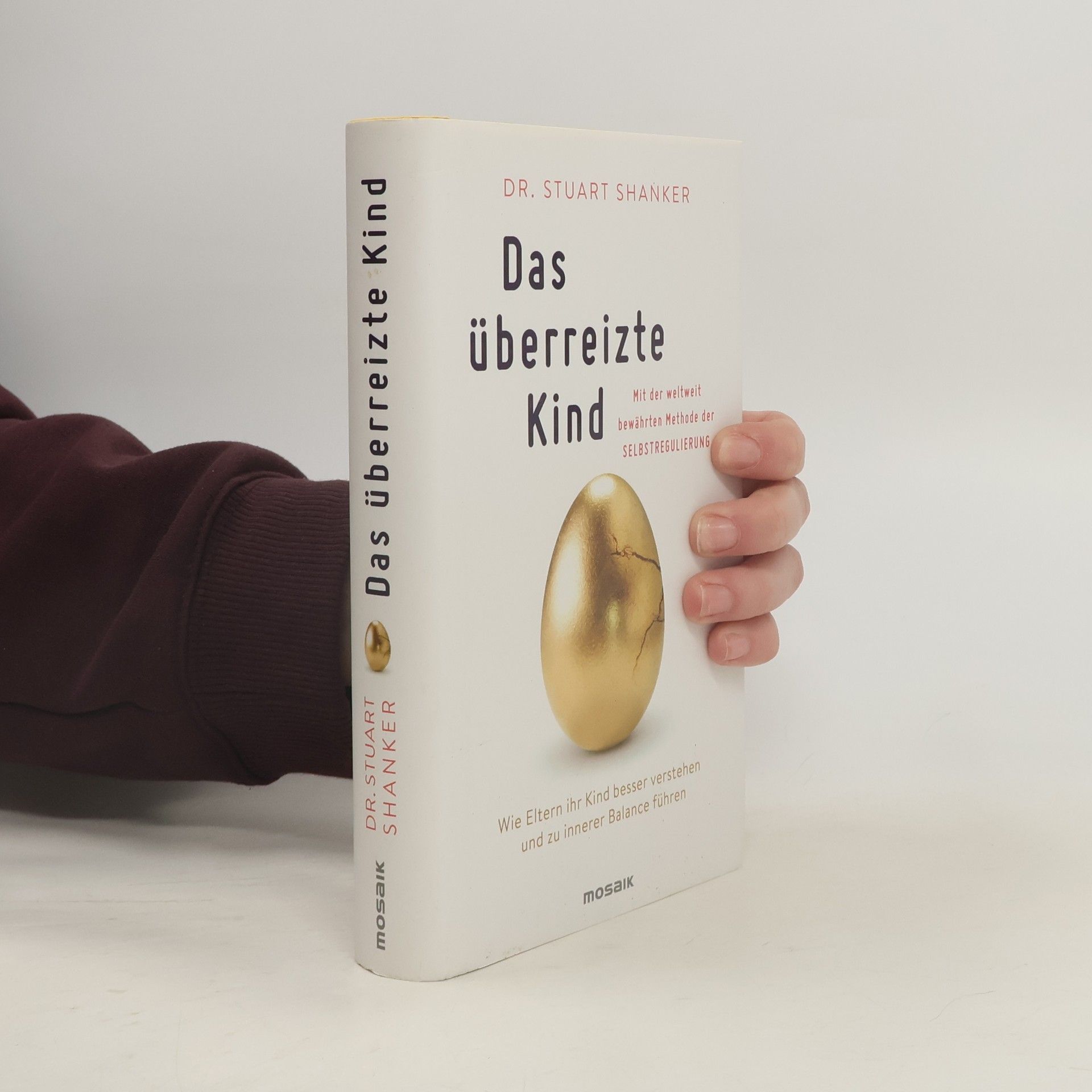 Stuart Shanker Das überreizte Kind