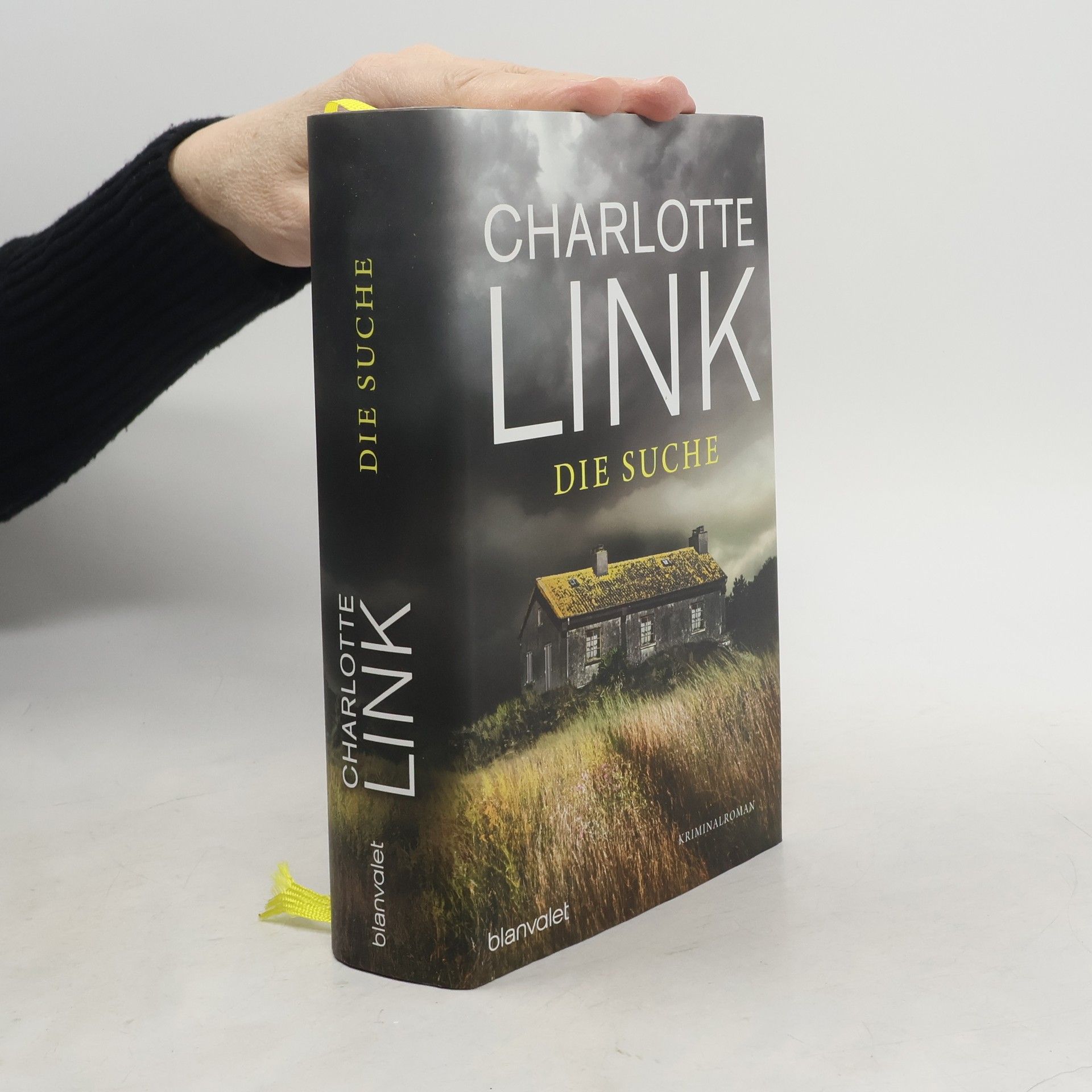 Charlotte Link Die Suche