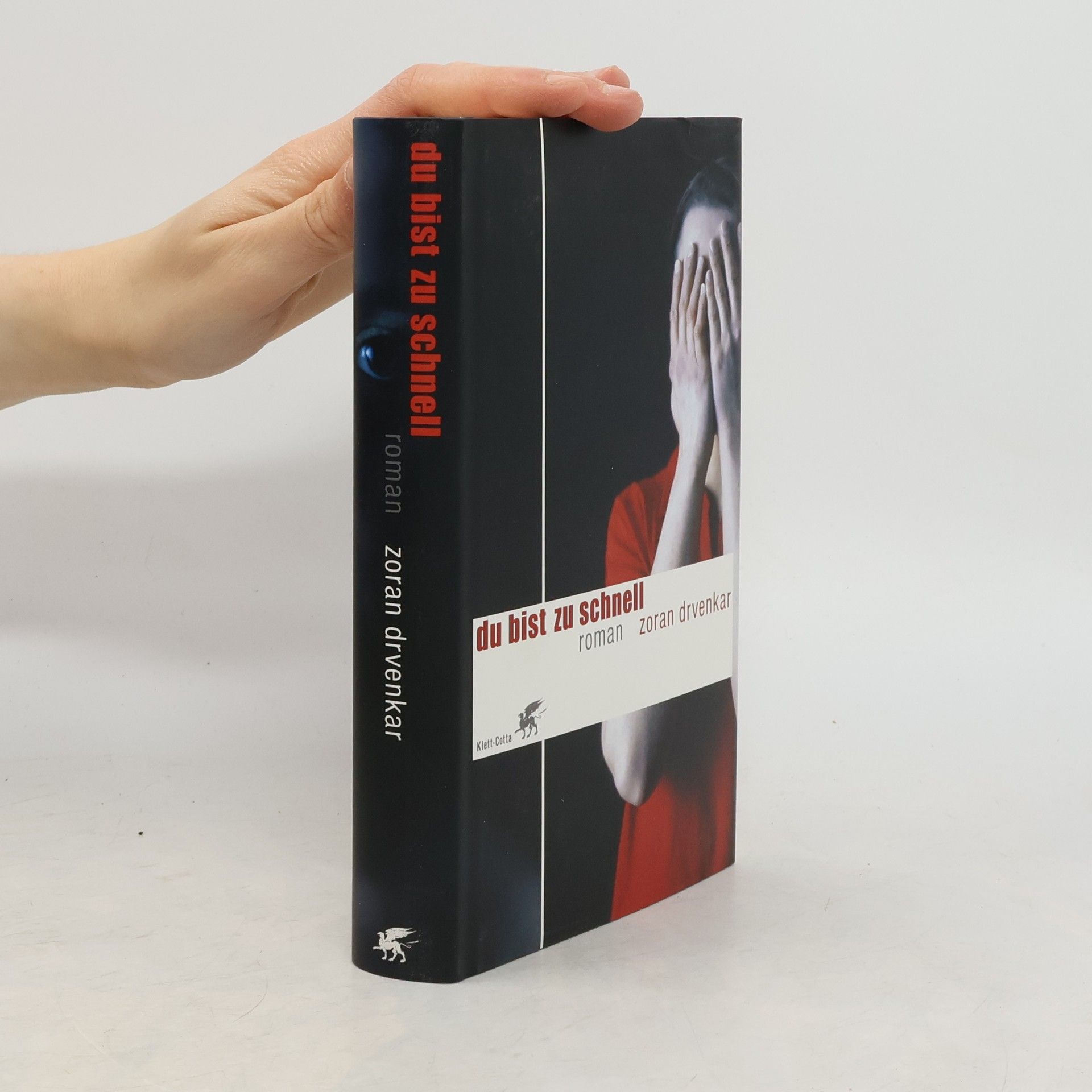 Zoran Drvenkar Du bist zu schnell