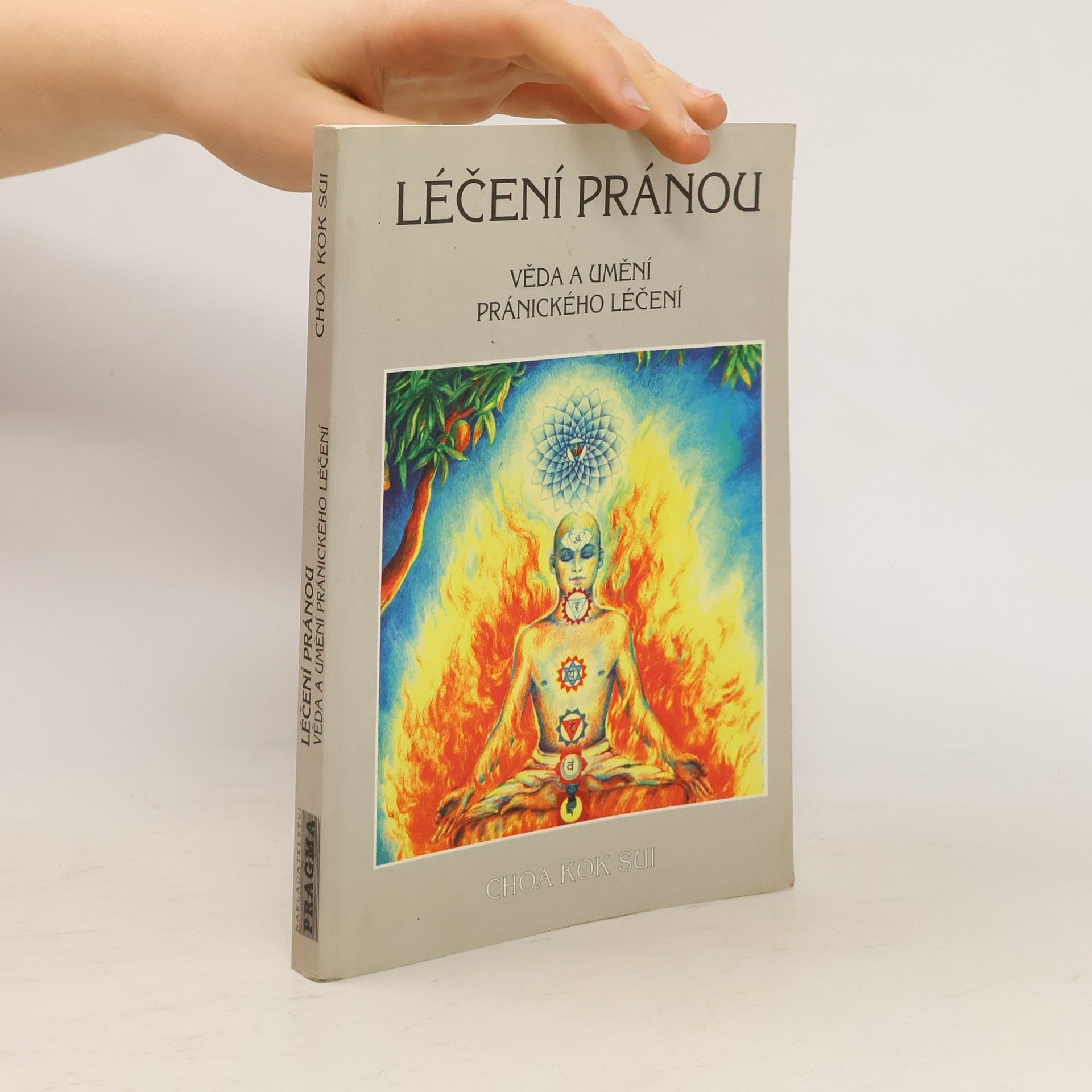 Choa Kok Sui Léčení pránou: Věda a umění pránického léčení