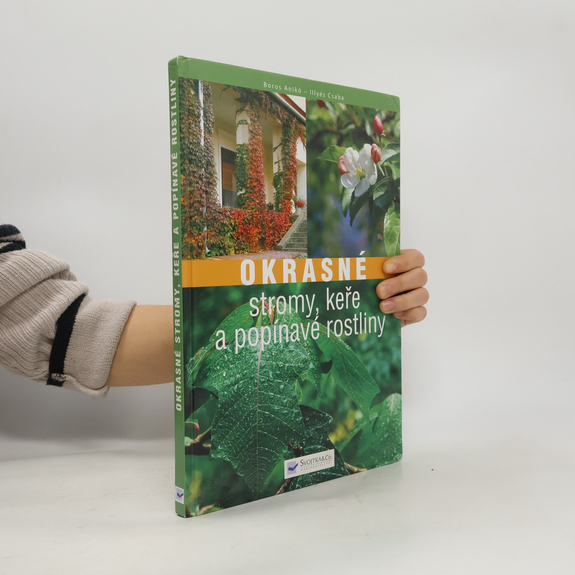 Boros Anikó Okrasné stromy, keře a popínavé rostliny
