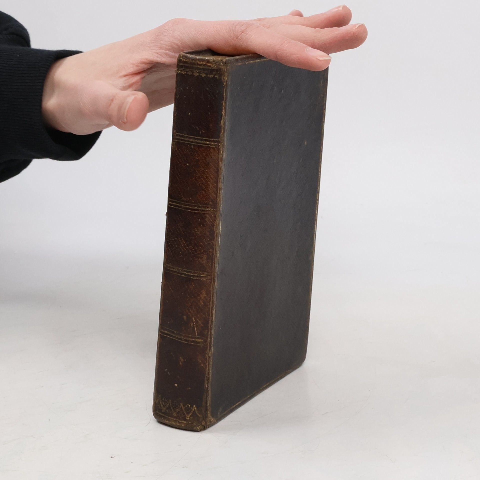 Autorenkollektiv Die Psalmen Davids