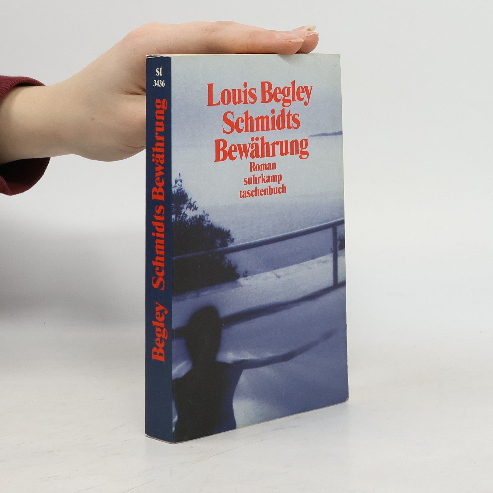 Louis Begley Schmidts Bewährung