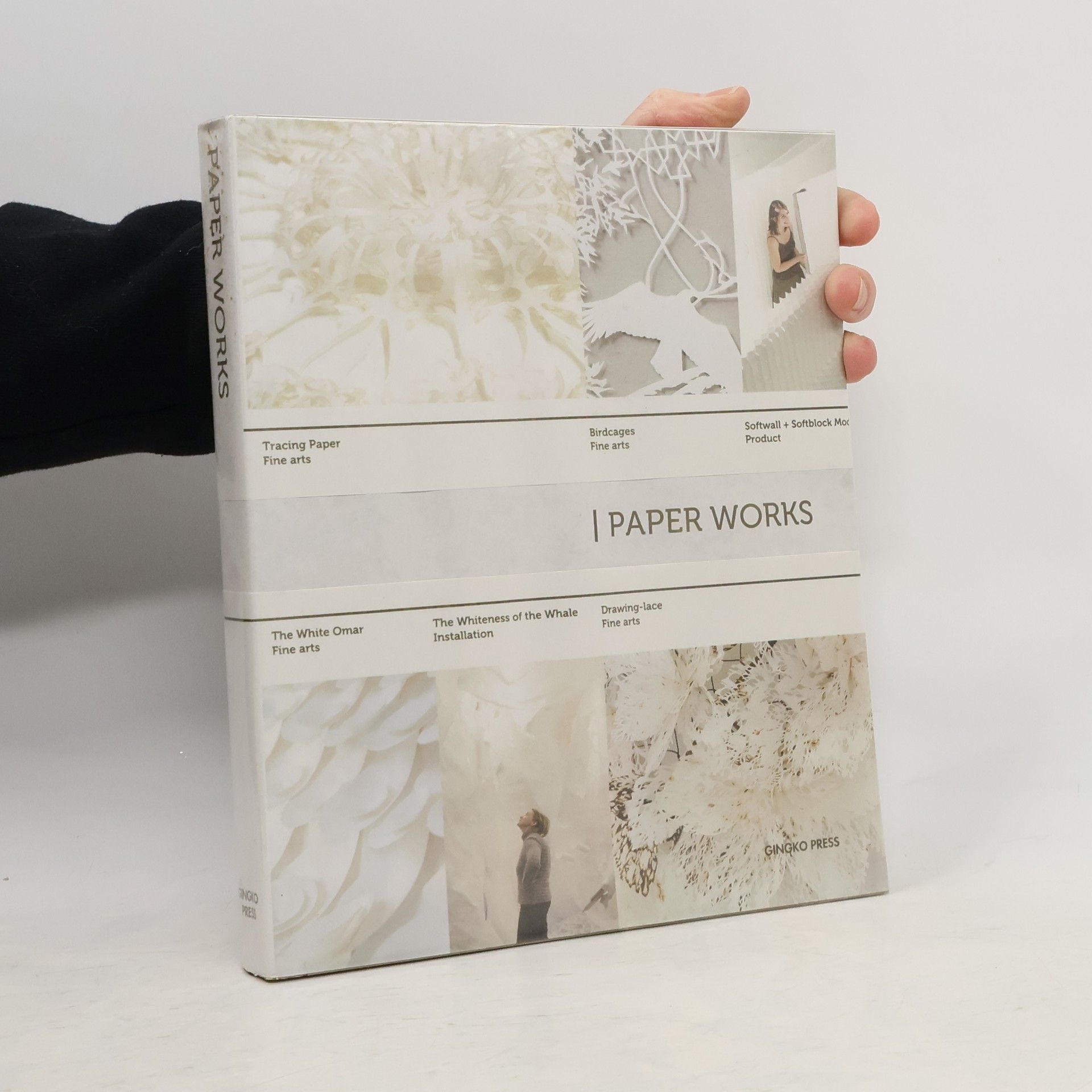 Wang Shaoqiang Paper Works