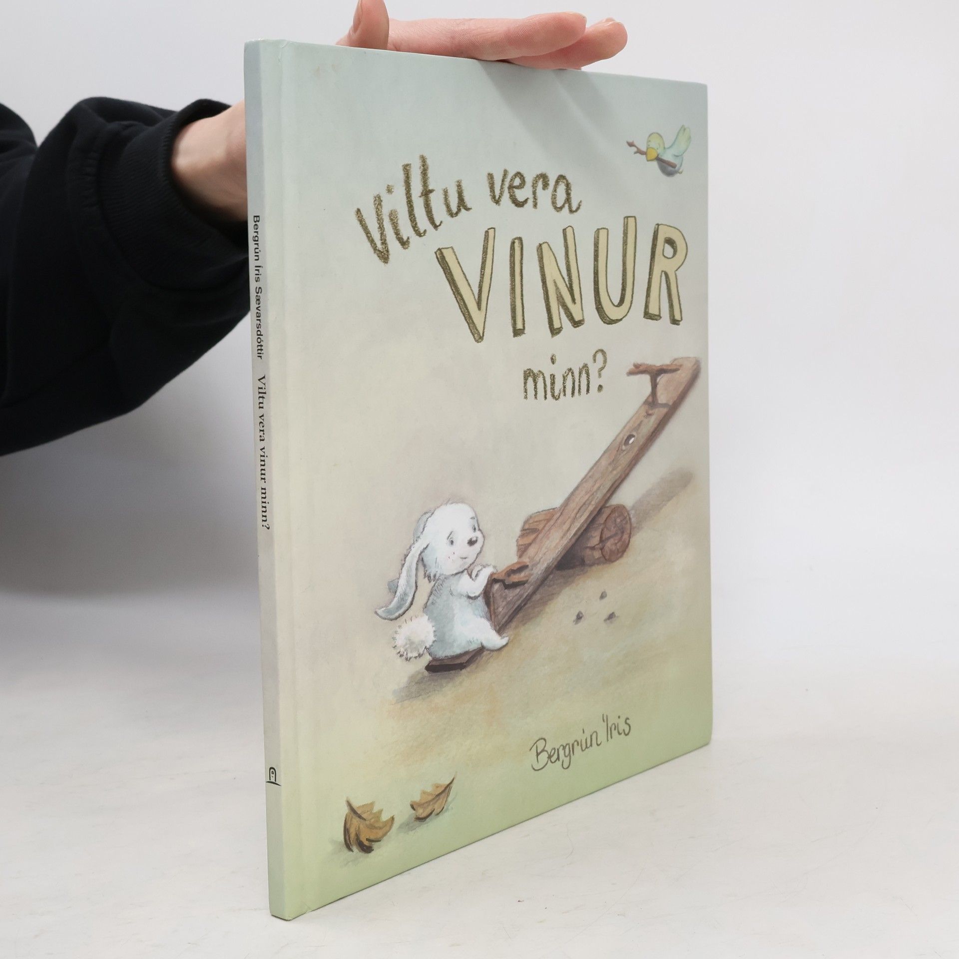 Bergrún Íris Sævarsdóttir Viltu vera vinur minn?