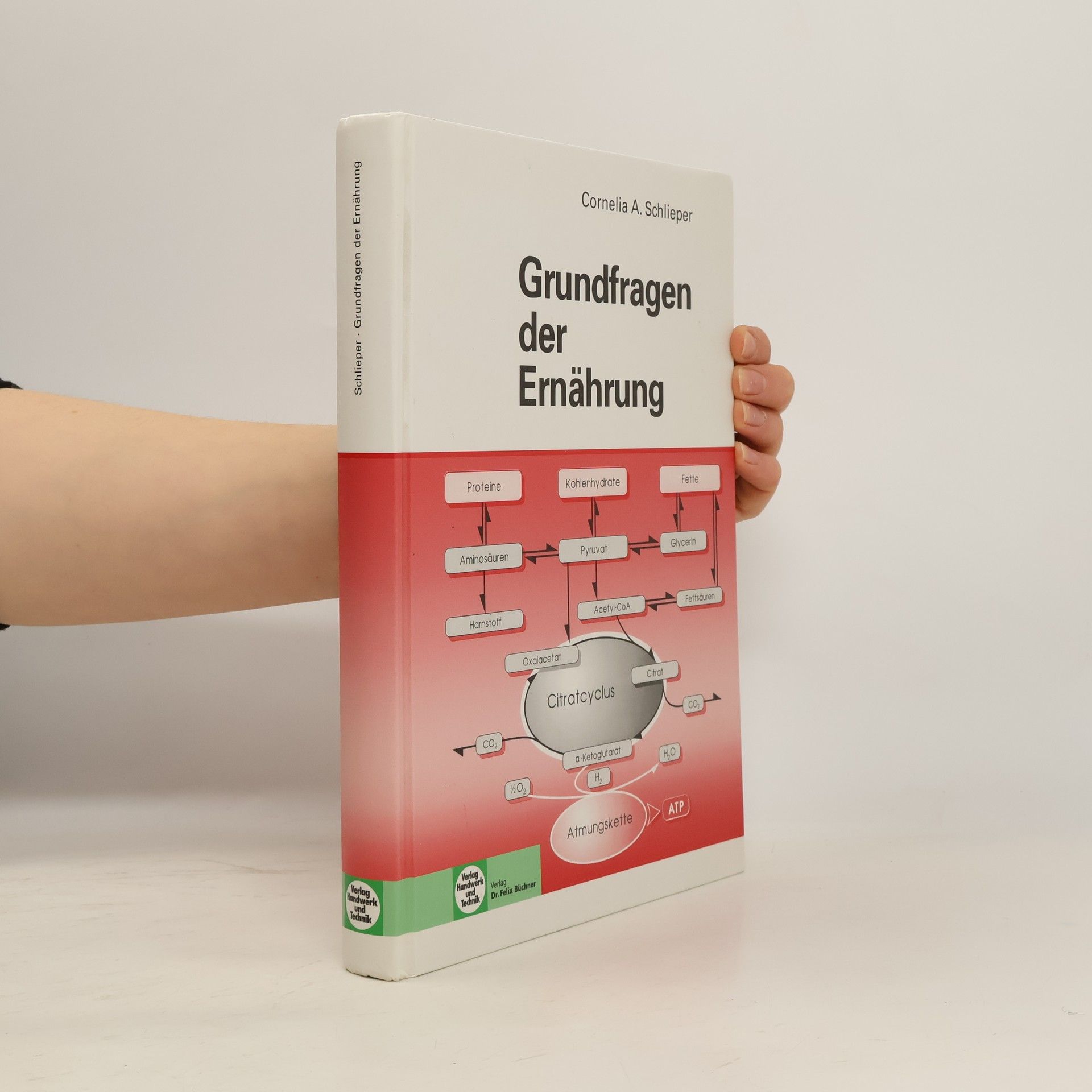Cornelia A. Schlieper Grundfragen der Ernährung