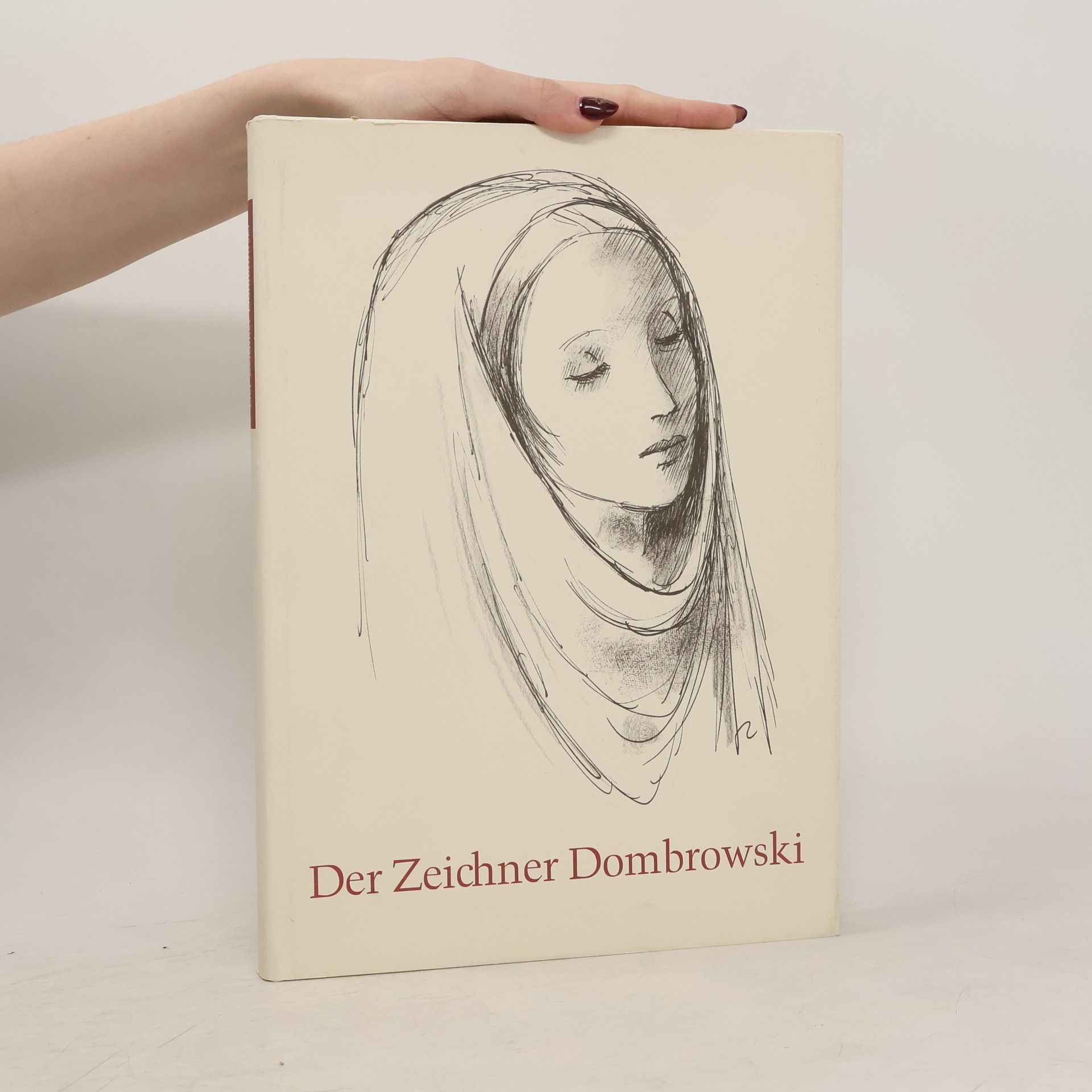 Kolektiv autorů Der Zeichner Dombrowski