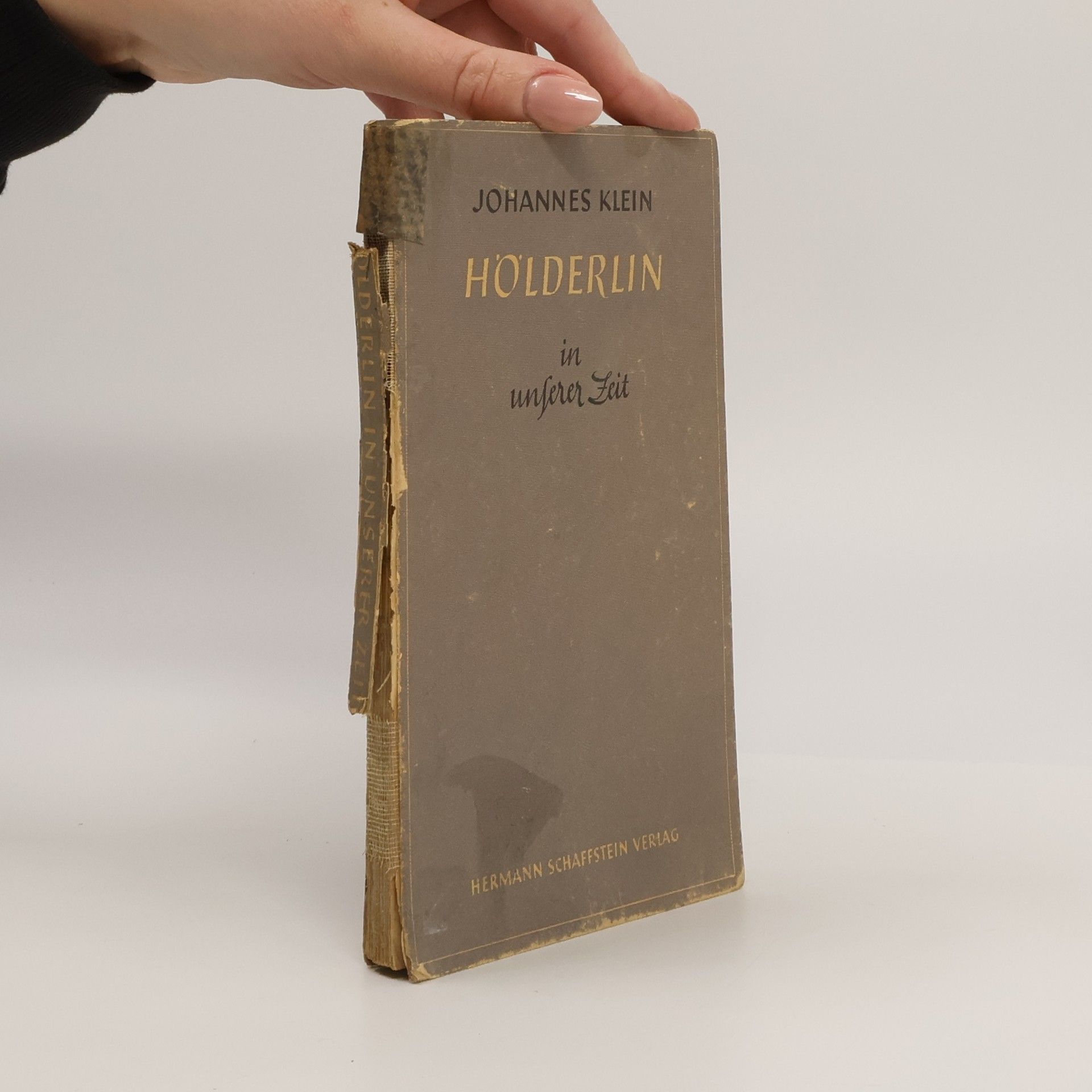 Hölderlin in unserer Zeit