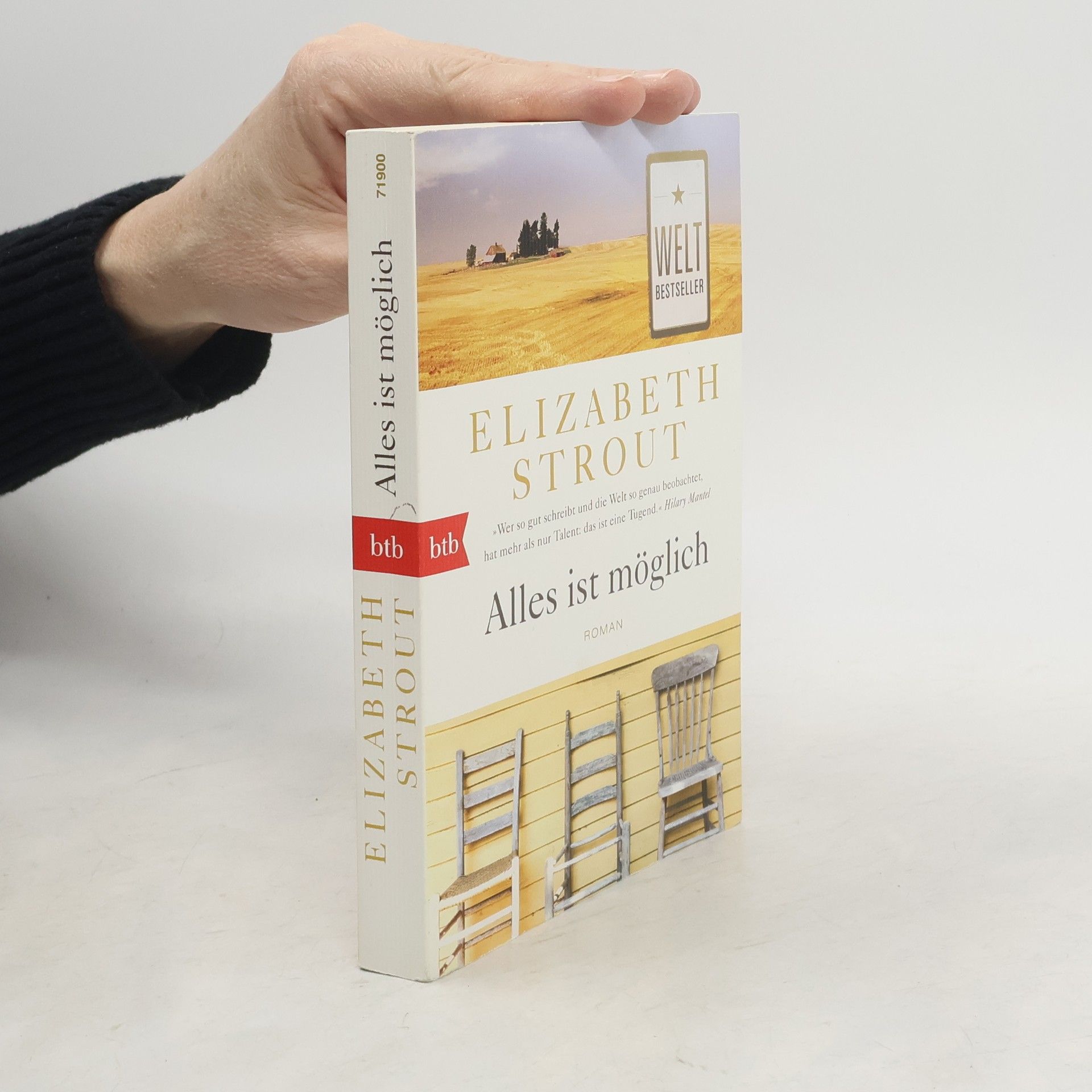Elizabeth Strout Alles ist möglich