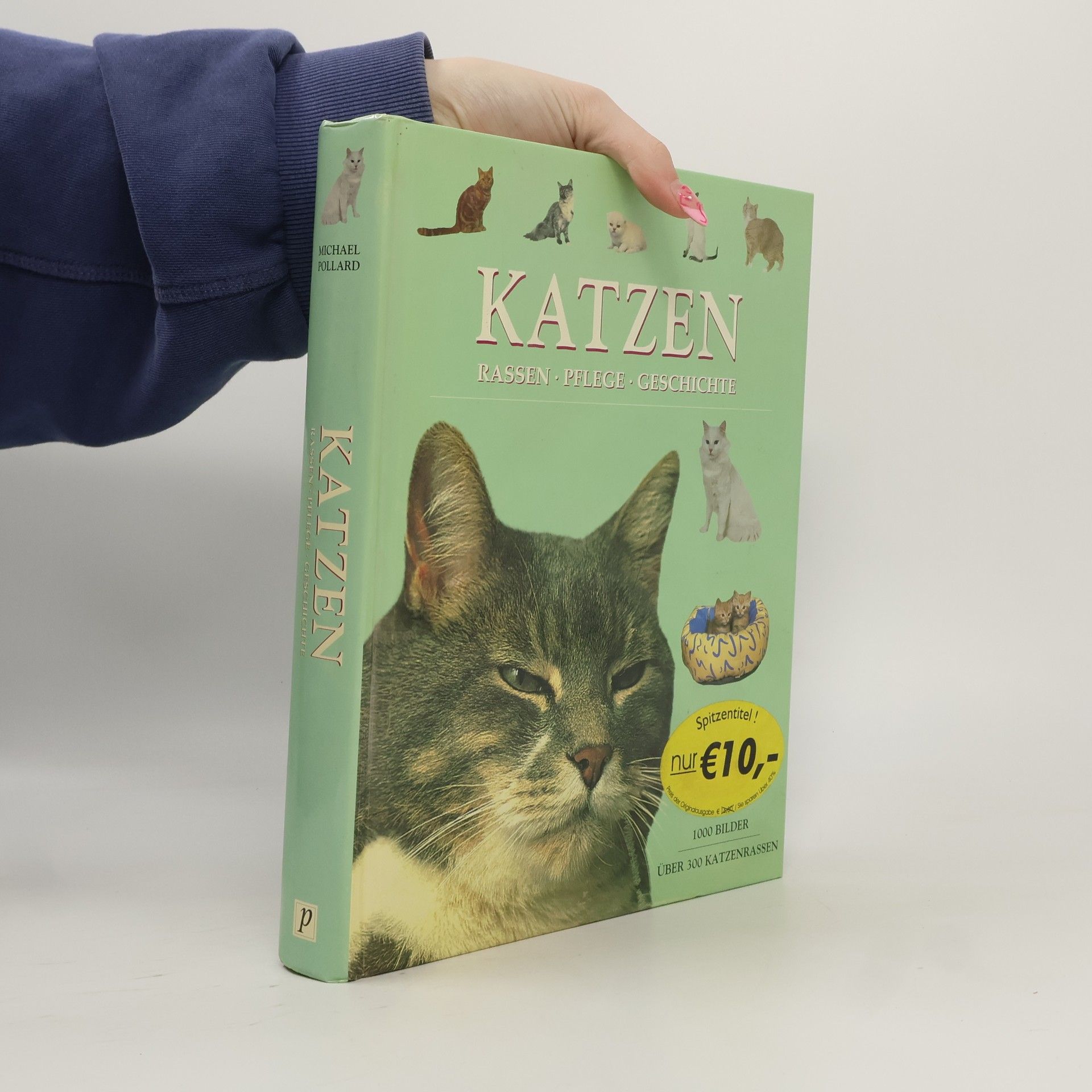 Michael Pollard Katzen