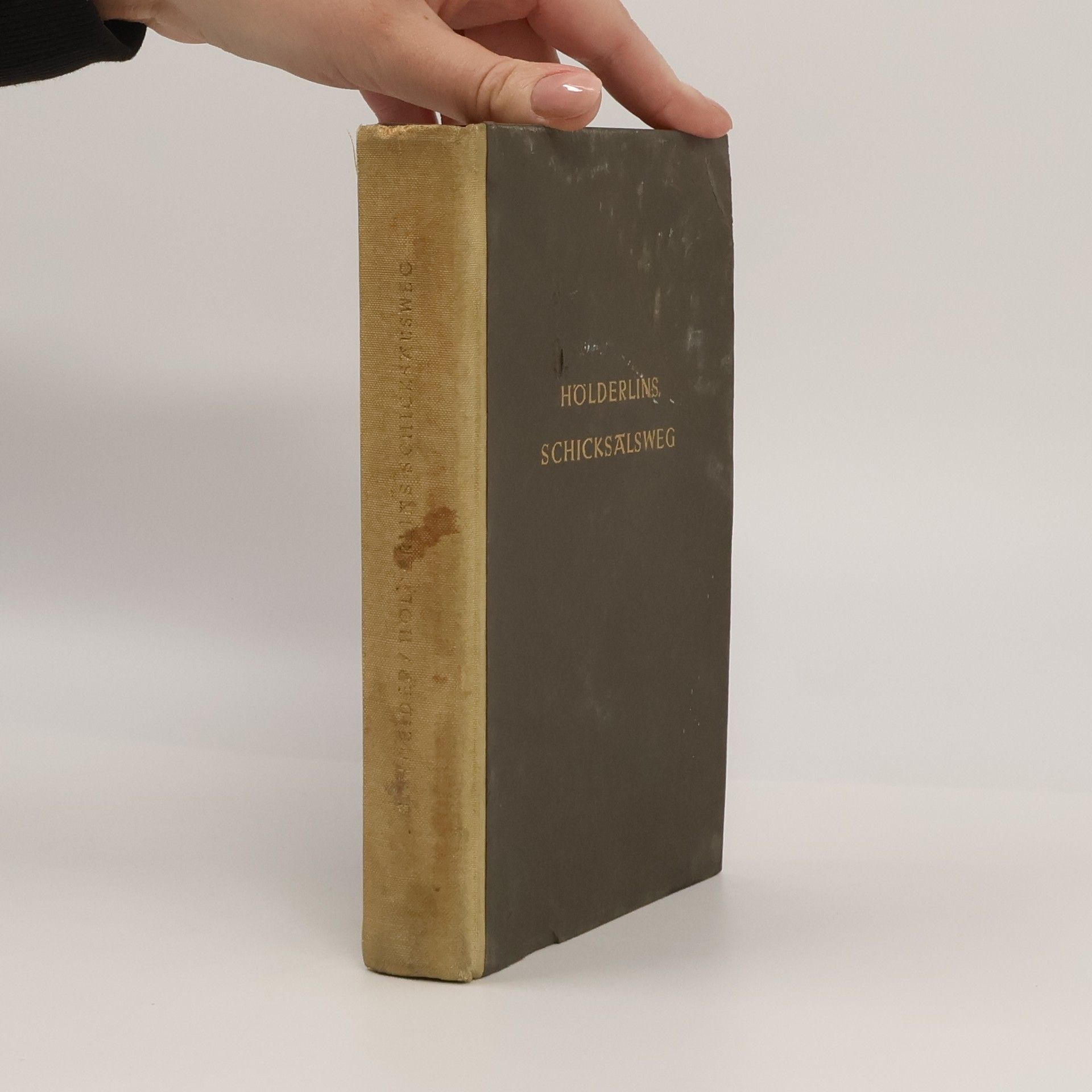 Auteurscollectief Hölderlins Schicksalsweg