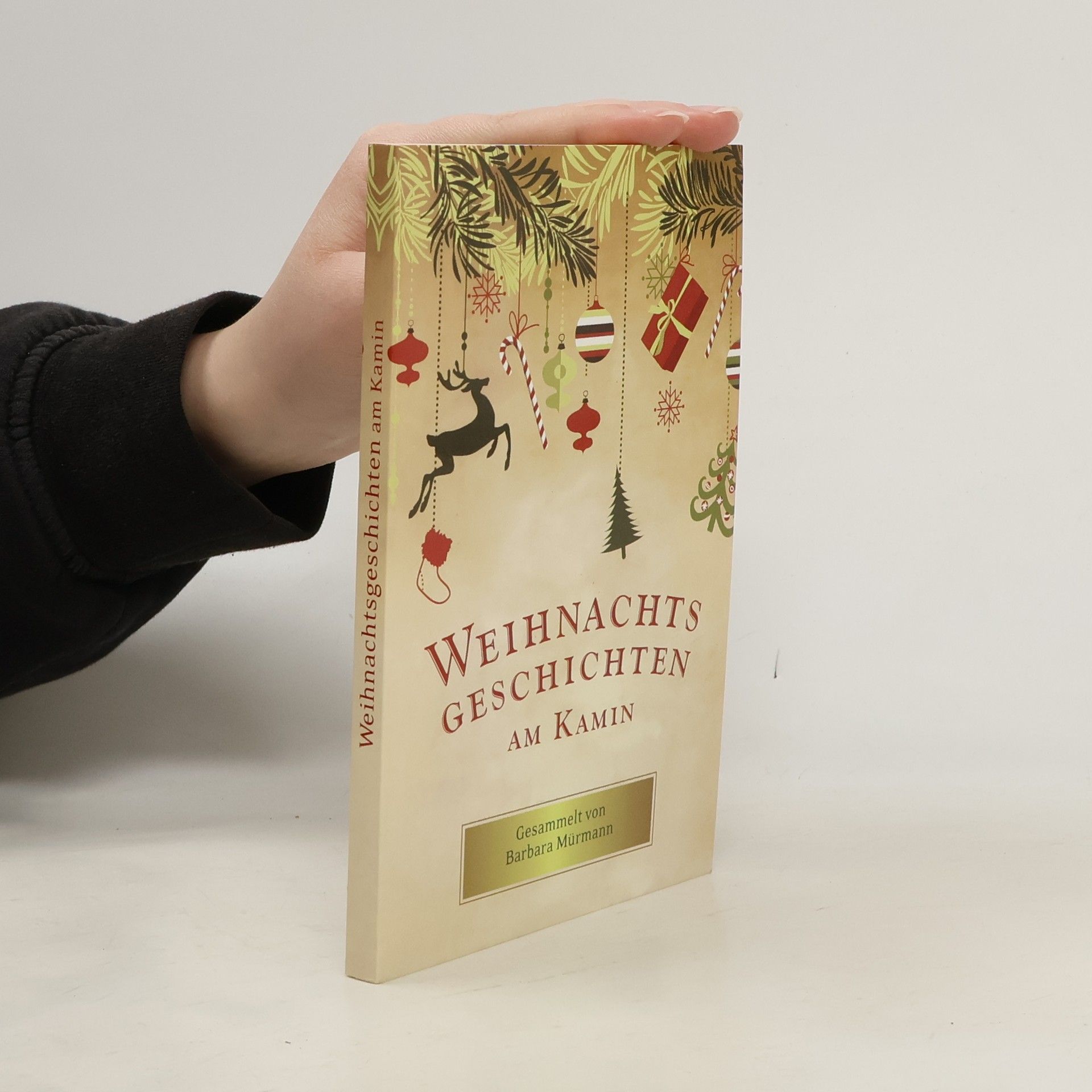 Barbara Mürmann Weihnachts Geschichten am Kamin 29