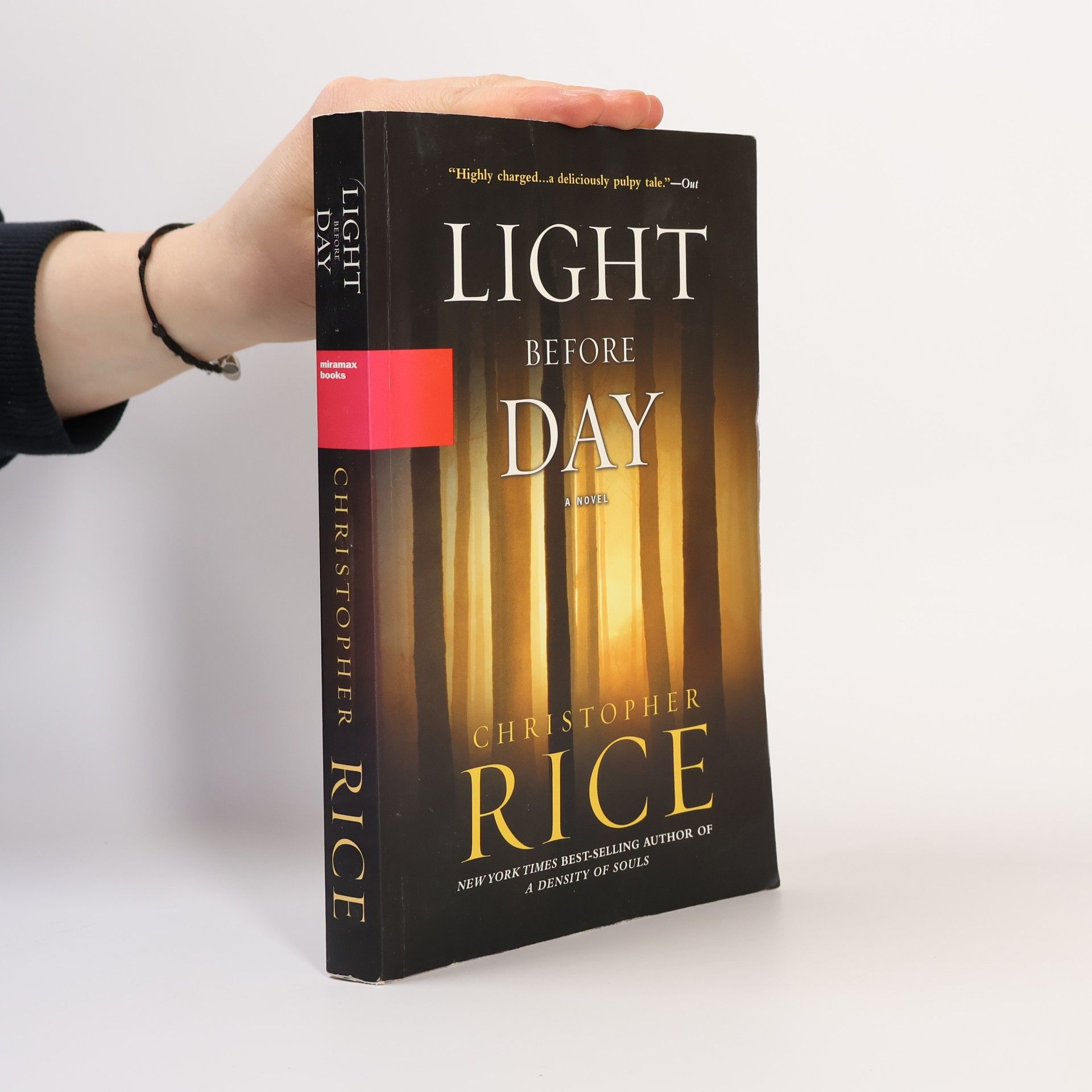 Christopher Rice Light Before Day