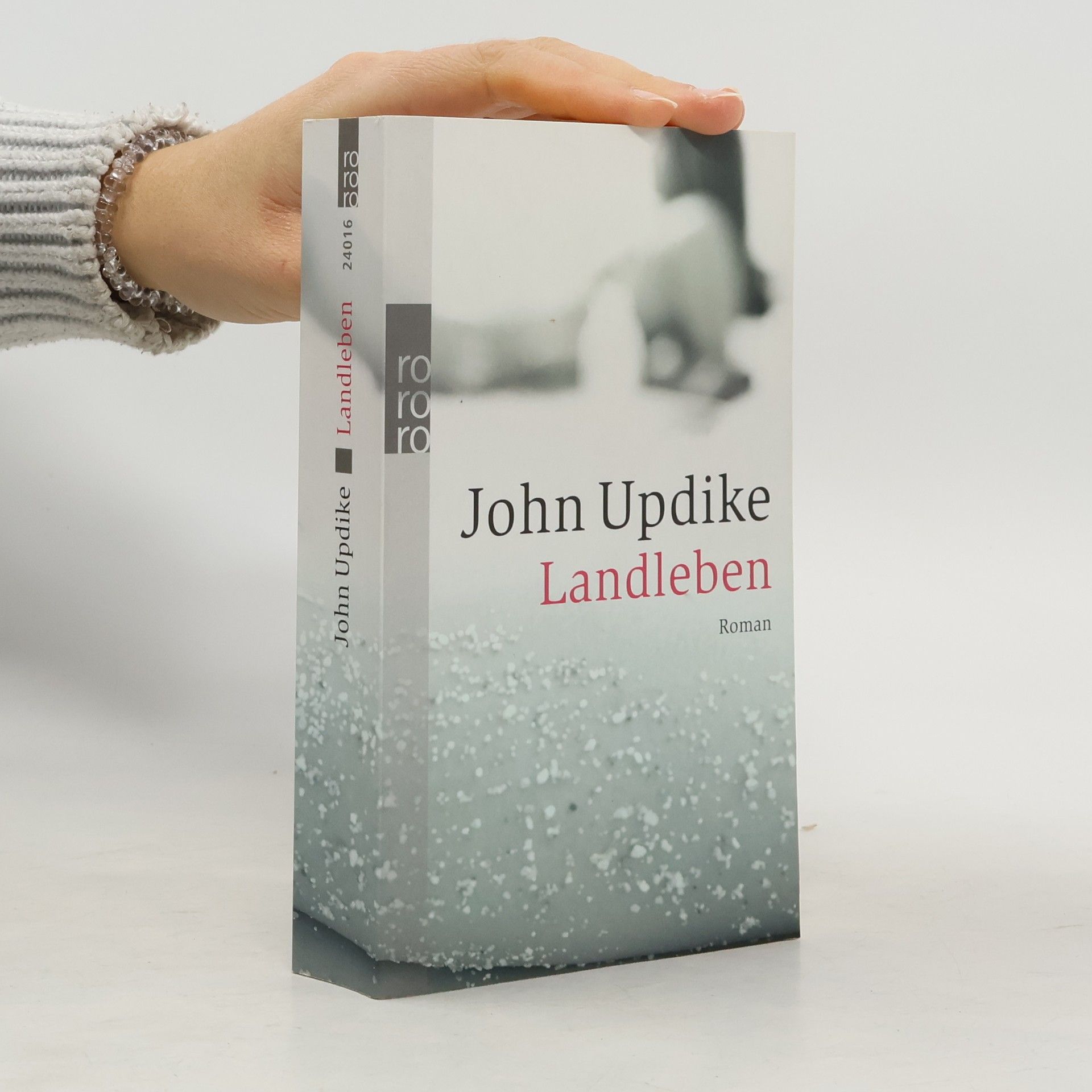 John Updike Landleben: Roman